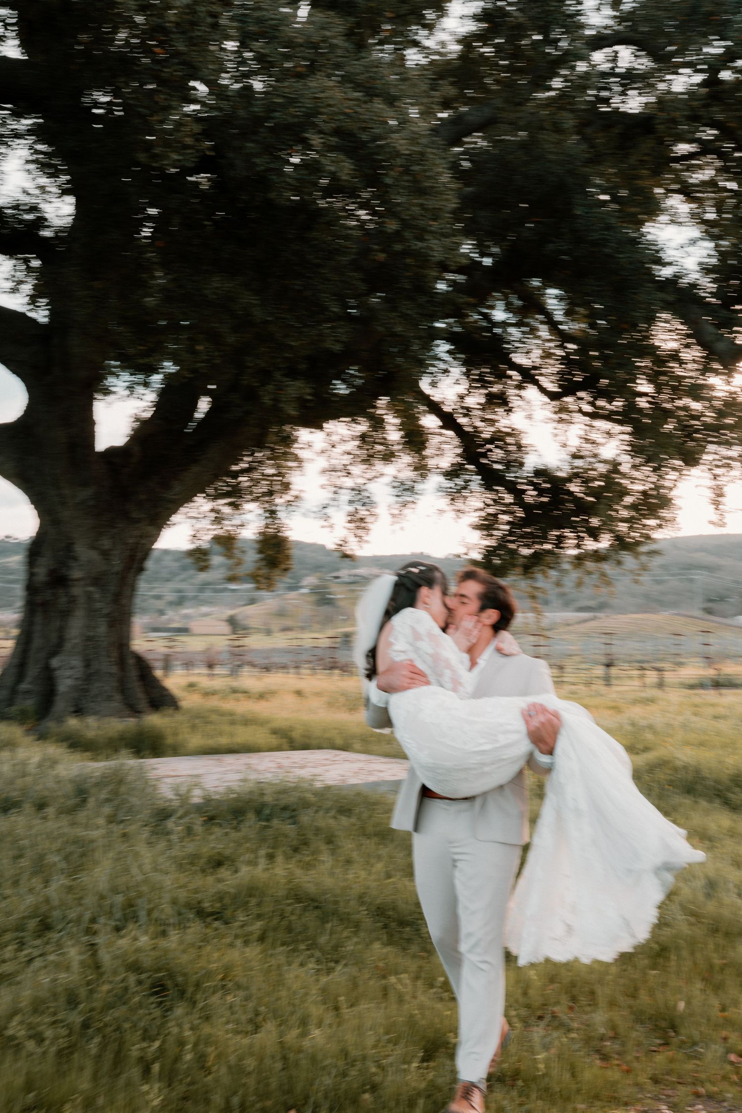 Groom in gray suit lifting bride in white lace dress for a kiss under a large tree at golden hour.