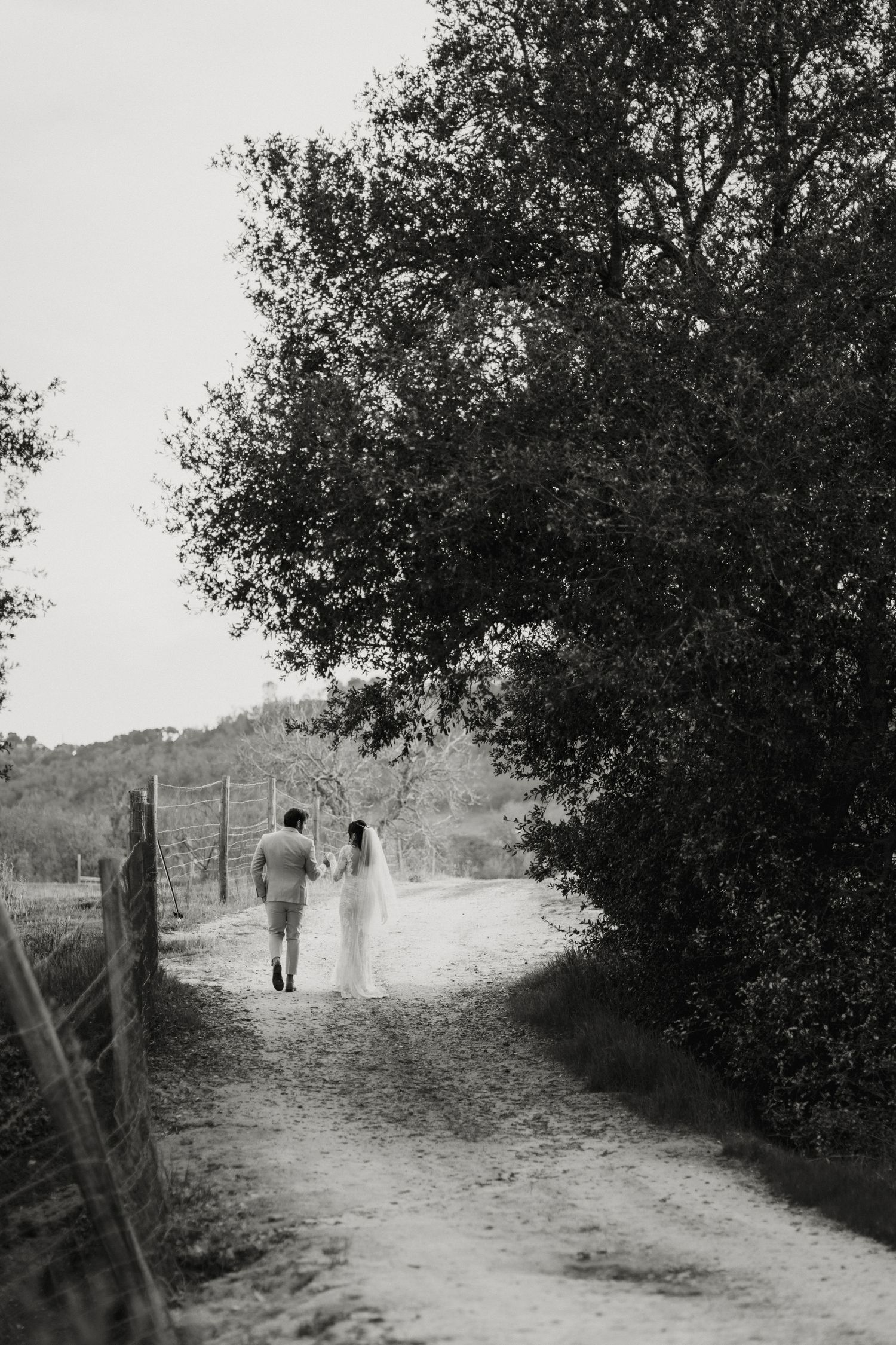 Black and white photo of newlyweds walking hand in hand down a tree-lined dirt path after their wedding.