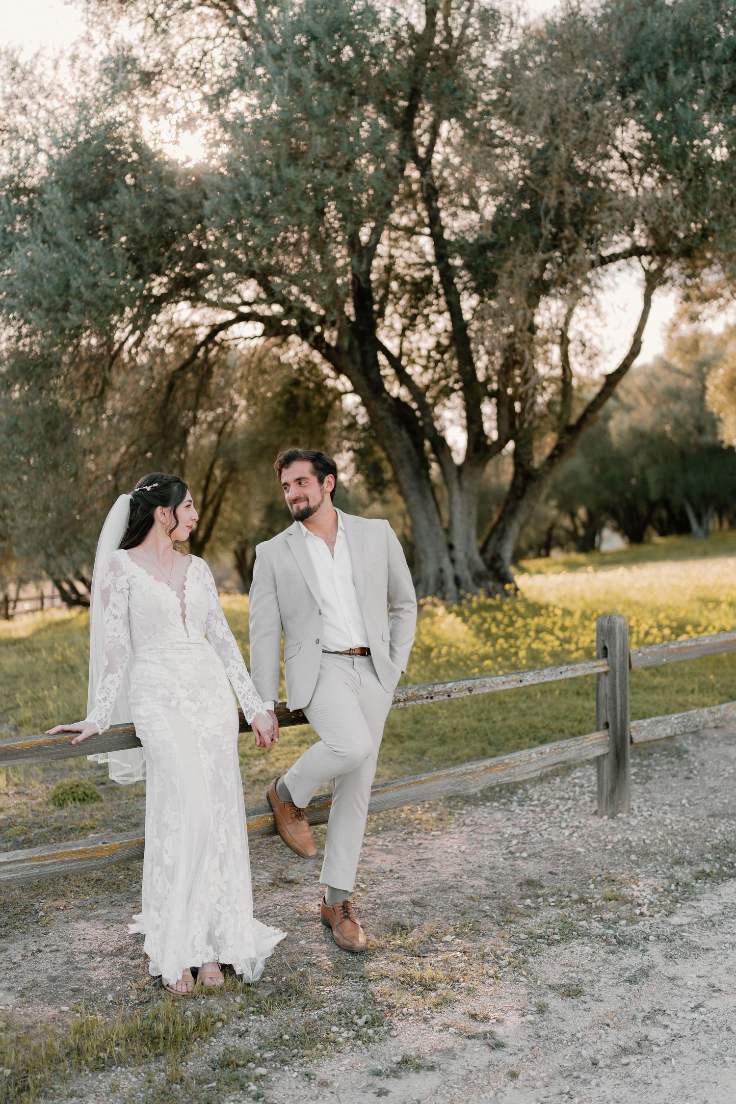 Bride and groom holding hands near rustic wooden fence with golden olive trees at sunset.