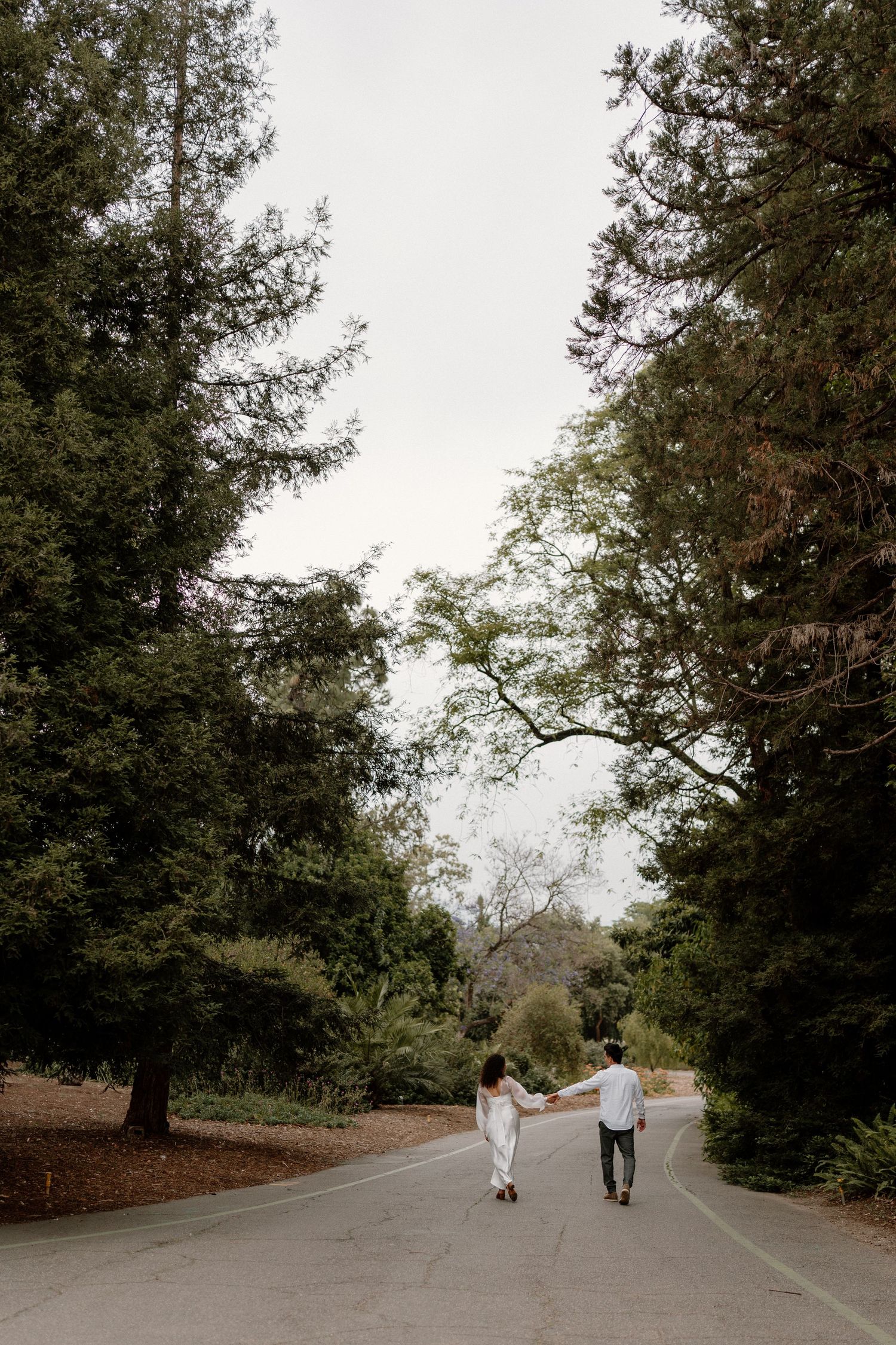 A couple walks hand in hand down a tree-lined road in a serene outdoor setting.