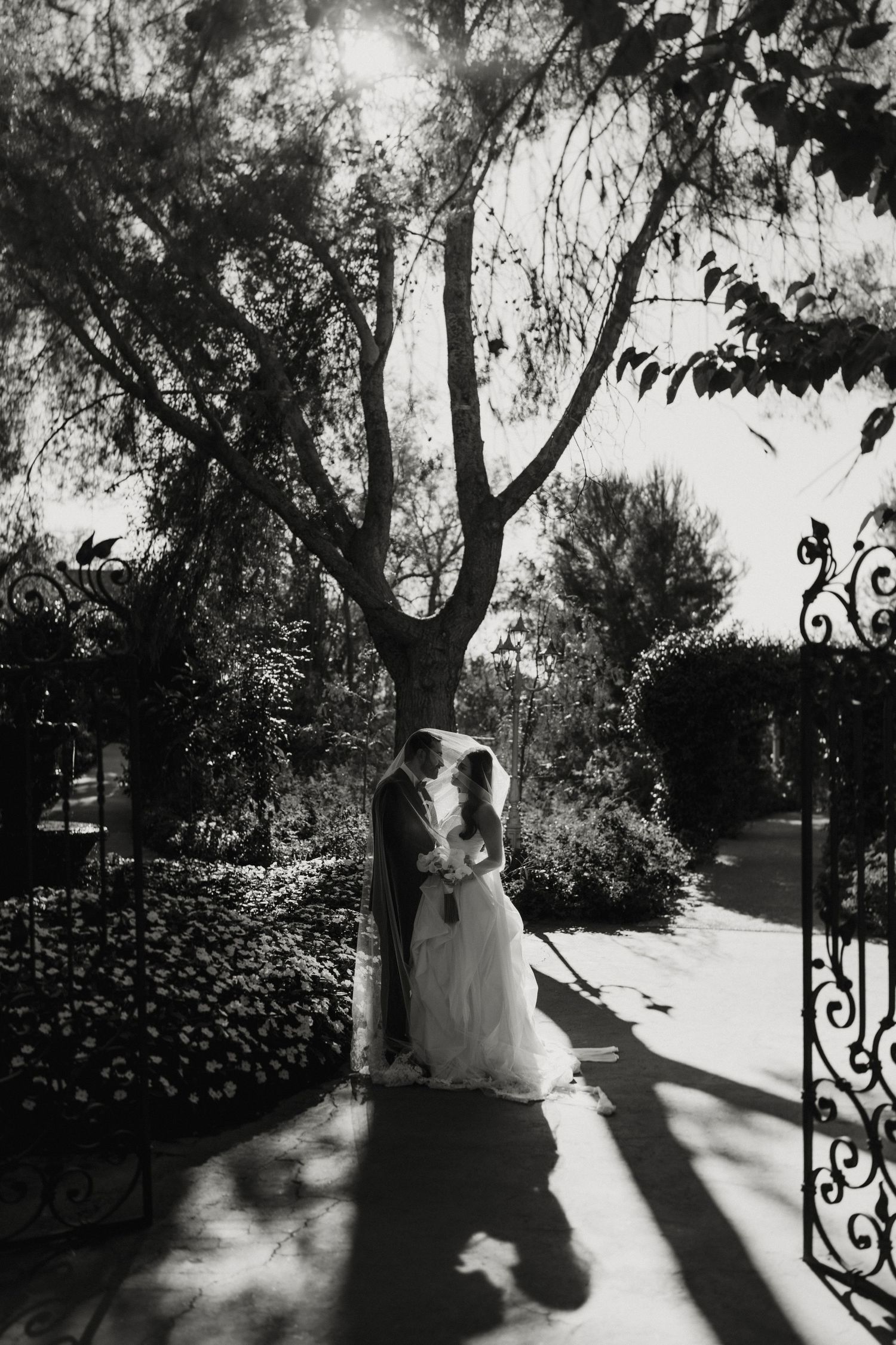 A bride and groom embrace in a sunlit garden beside ornate iron gates and a large tree.