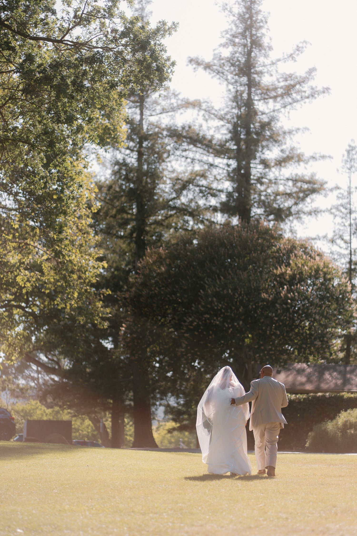 Bride and groom walk hand in hand across sunlit green lawn surrounded by trees.