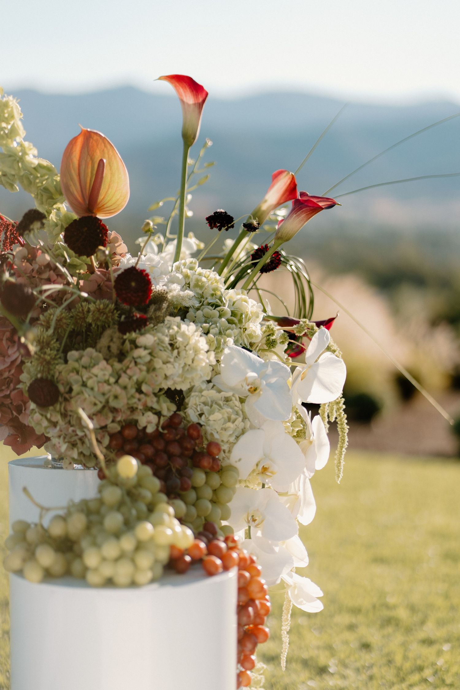 Elegant floral arrangement with calla lilies, orchids, and grapes on a white pedestal with mountain backdrop.