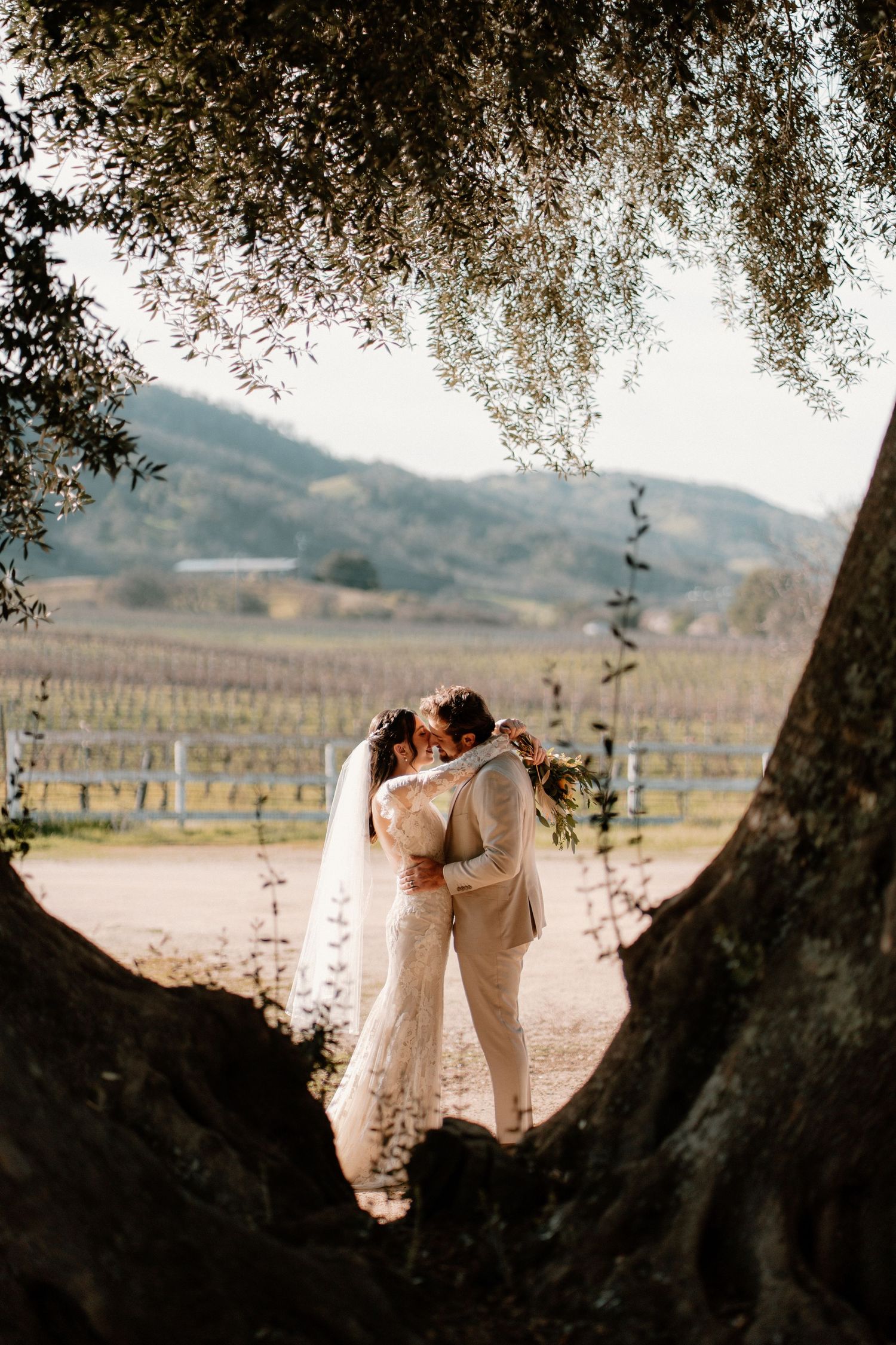 A bride and groom share a romantic kiss framed by olive trees with vineyard views behind them.