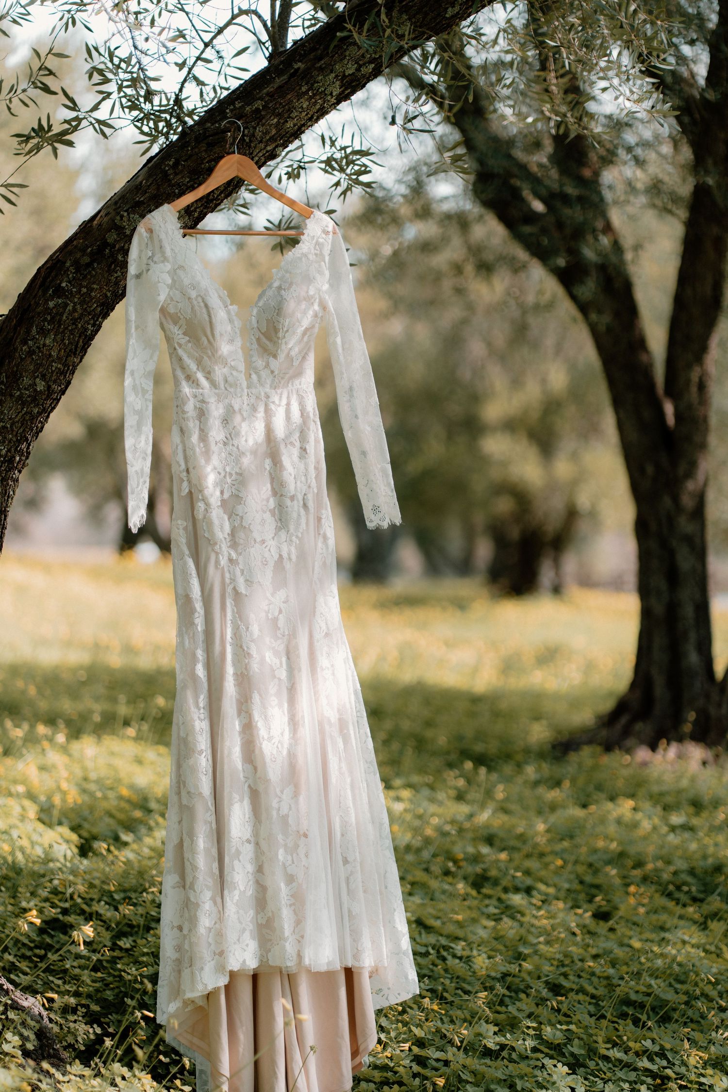 An elegant long-sleeve lace wedding gown hanging from an olive tree outdoors.