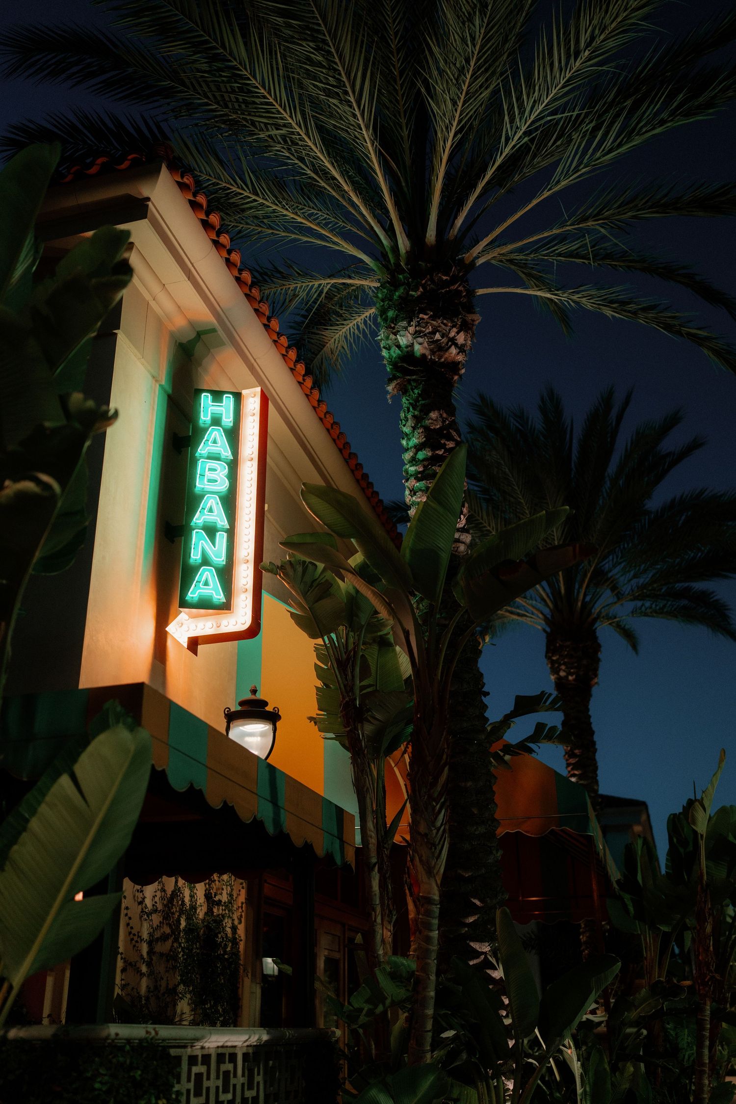 Habana restaurant exterior at night with glowing neon sign and tropical palm trees in warm evening ambiance.
