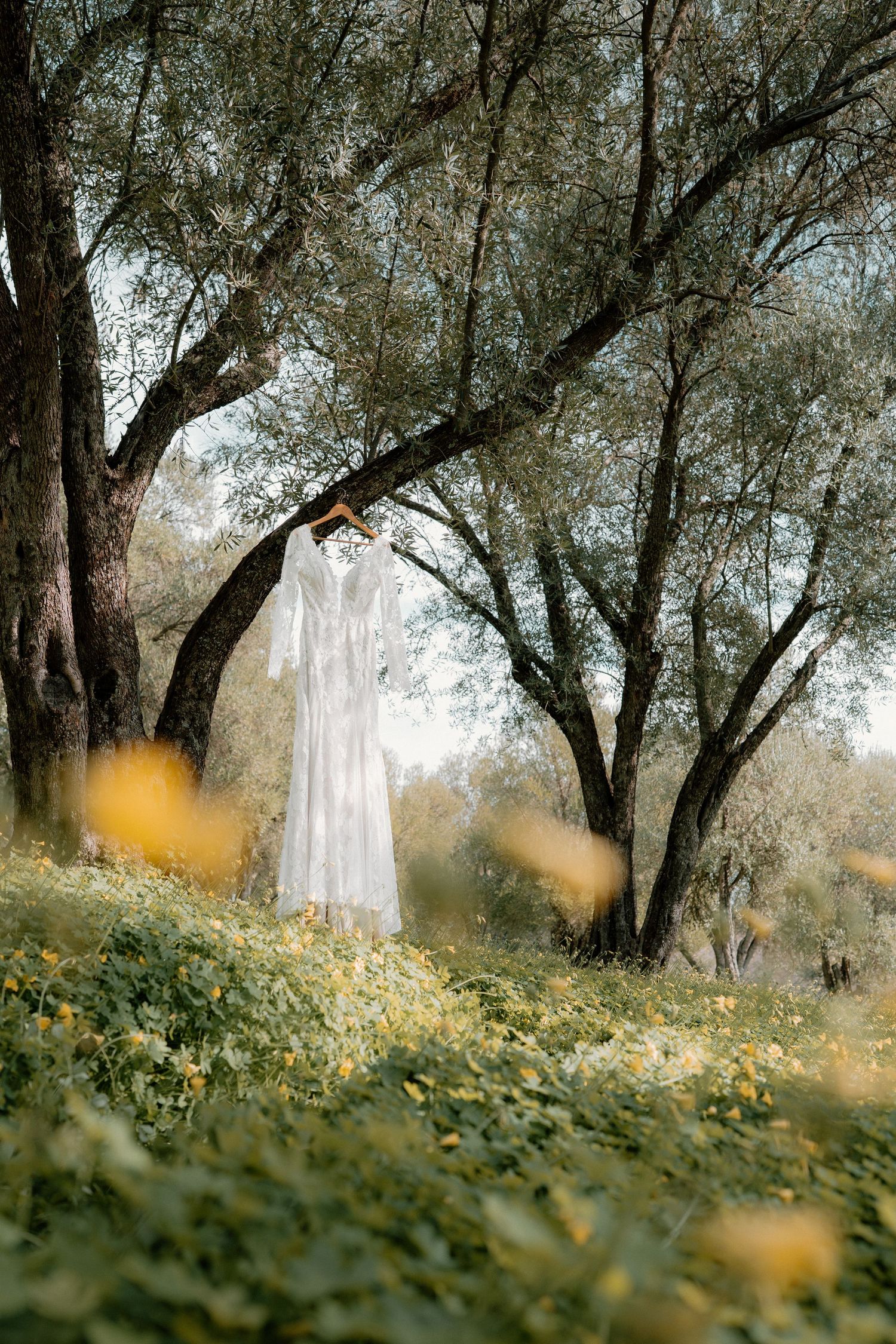 White lace wedding dress hanging from a tree branch in a sunlit meadow with yellow wildflowers in foreground.