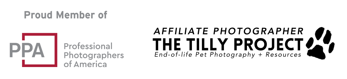 PPA Professional Photographers of America and Tilly Project affiliate photographer membership logos.