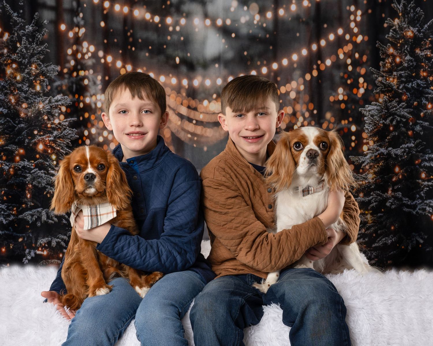 Two boys holding Cavalier King Charles Spaniels pose for a festive Christmas photo with bokeh lights and snowy pine trees.