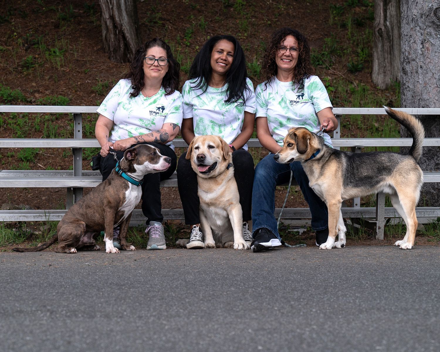 Three women in matching tie-dye shirts sit on a bench with three dogs on leashes outdoors.