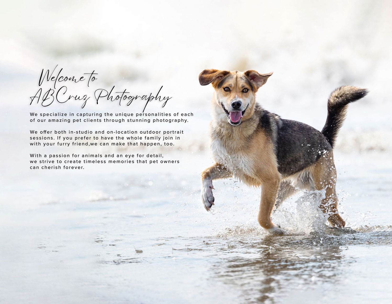 A joyful dog splashes through ocean waves on a beach beside the ABCruz Photography welcome text.
