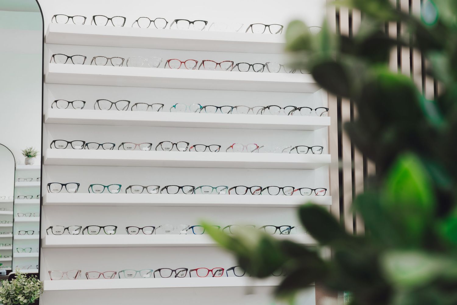 Display wall of colorful eyeglass frames arranged on white shelves in a modern optical store.