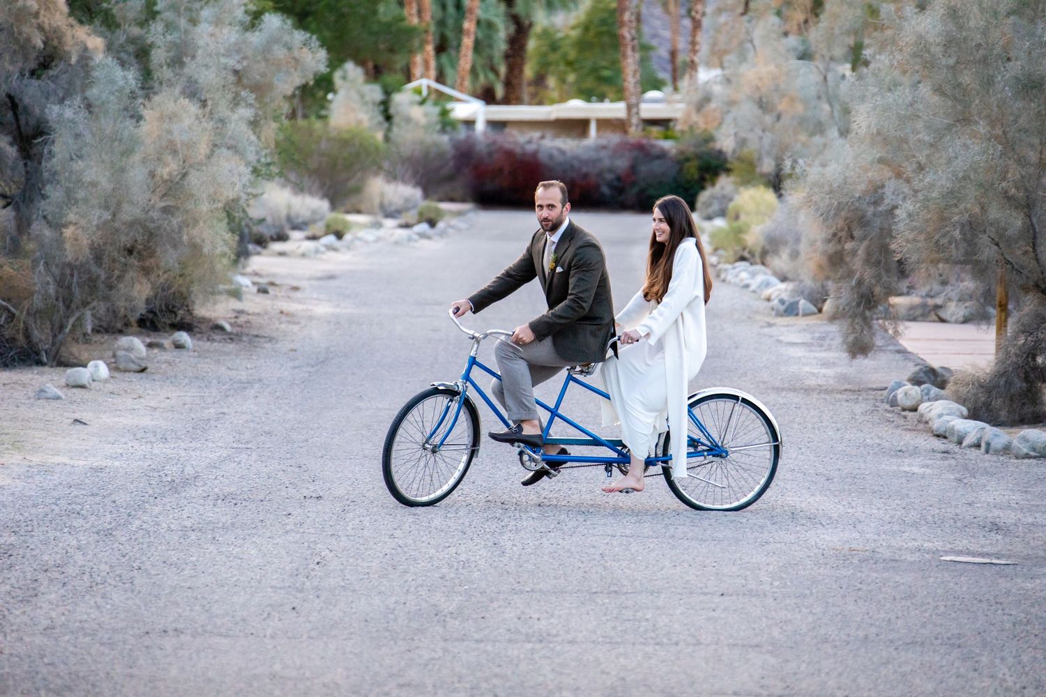 A blue bicycle stands against a desert backdrop with rocky terrain and desert plants.