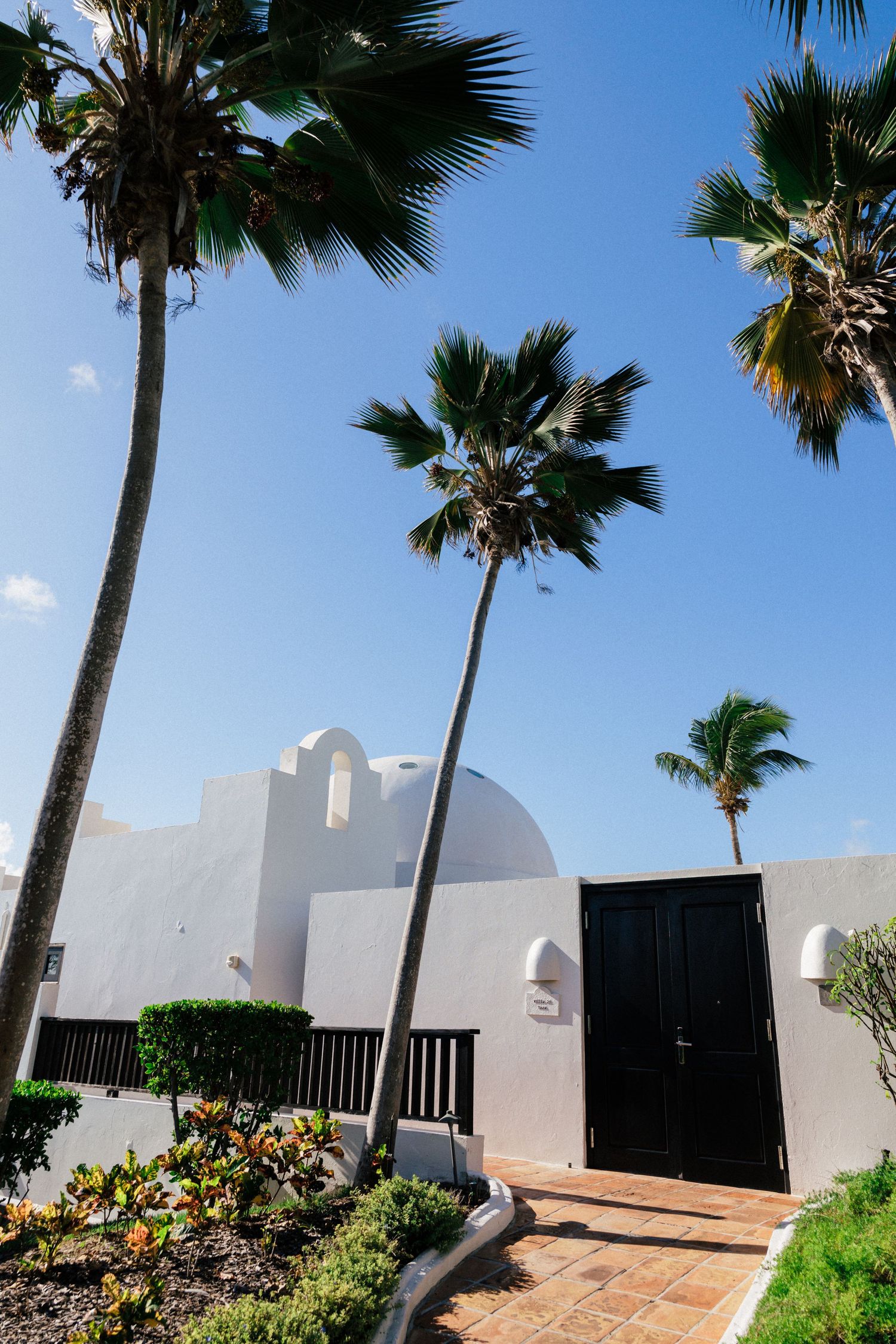 Palm trees and white architecture against bright blue sky at tropical resort.