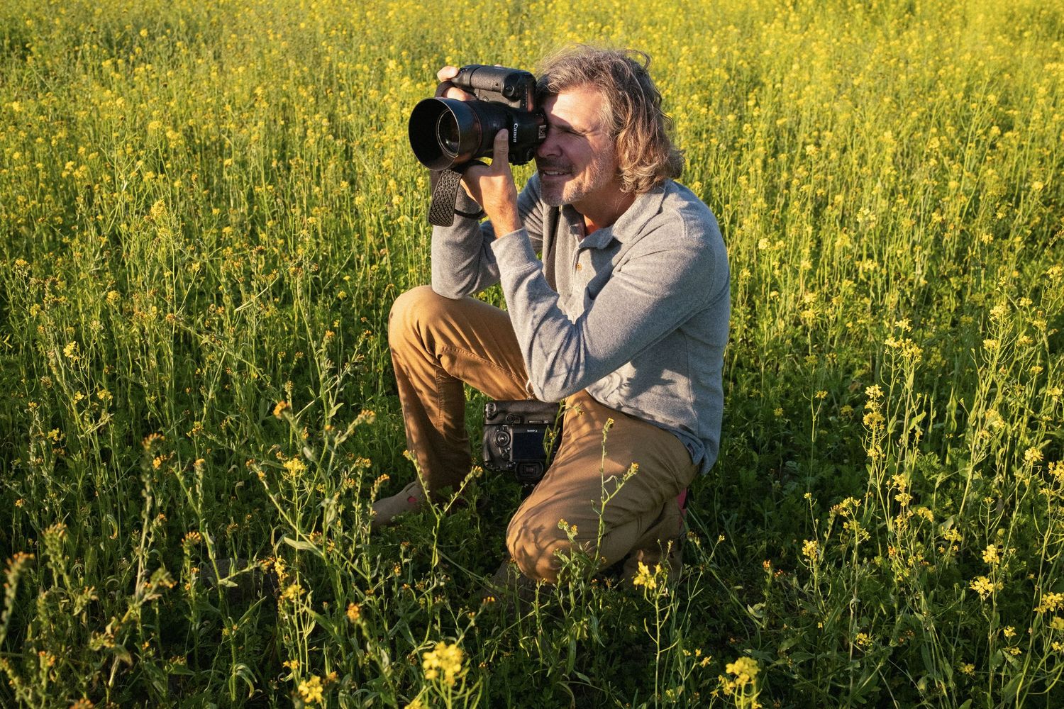 Photographer taking pictures in a field of tall yellow wildflowers.
