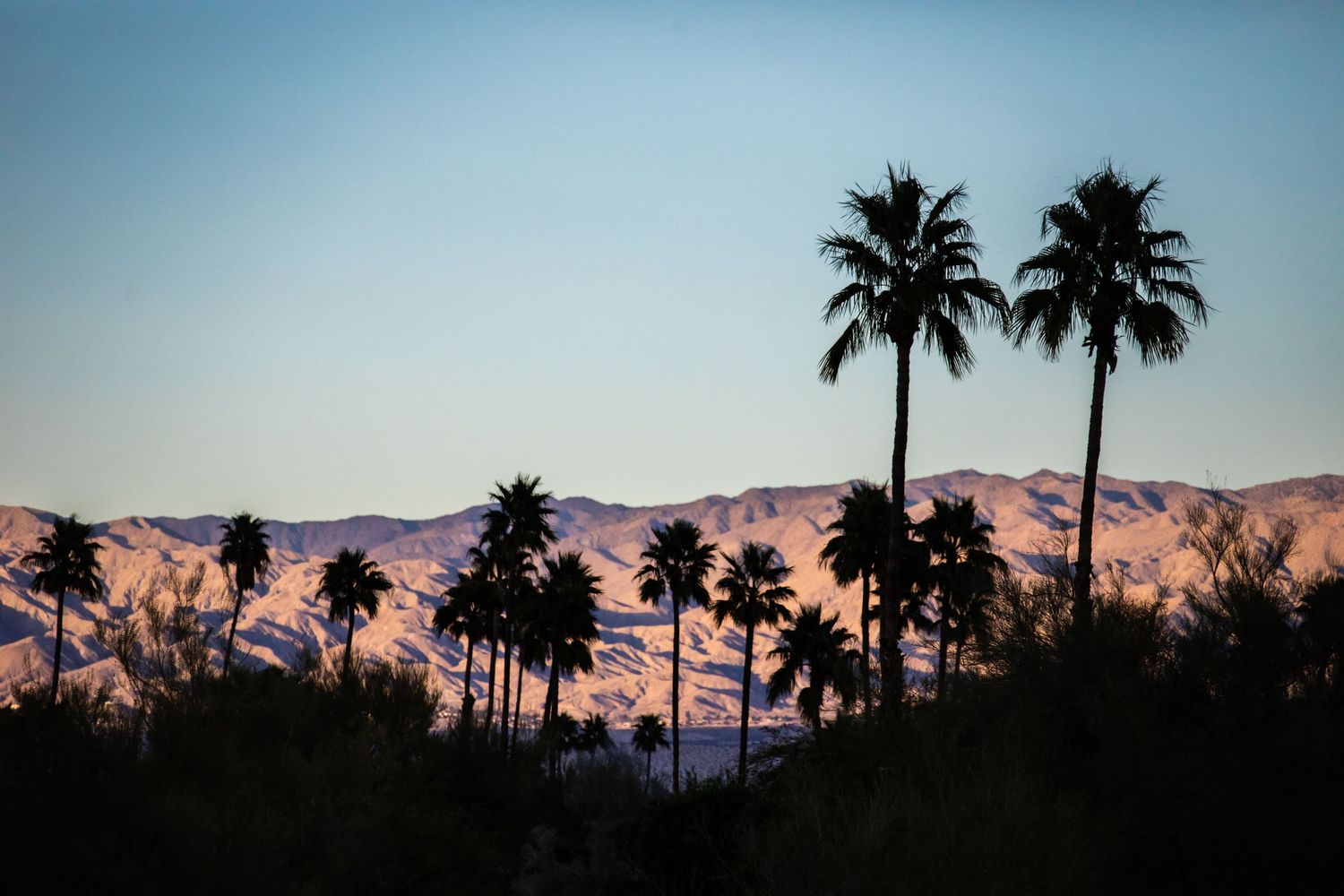 Palm trees silhouetted against a mountain landscape at sunset.