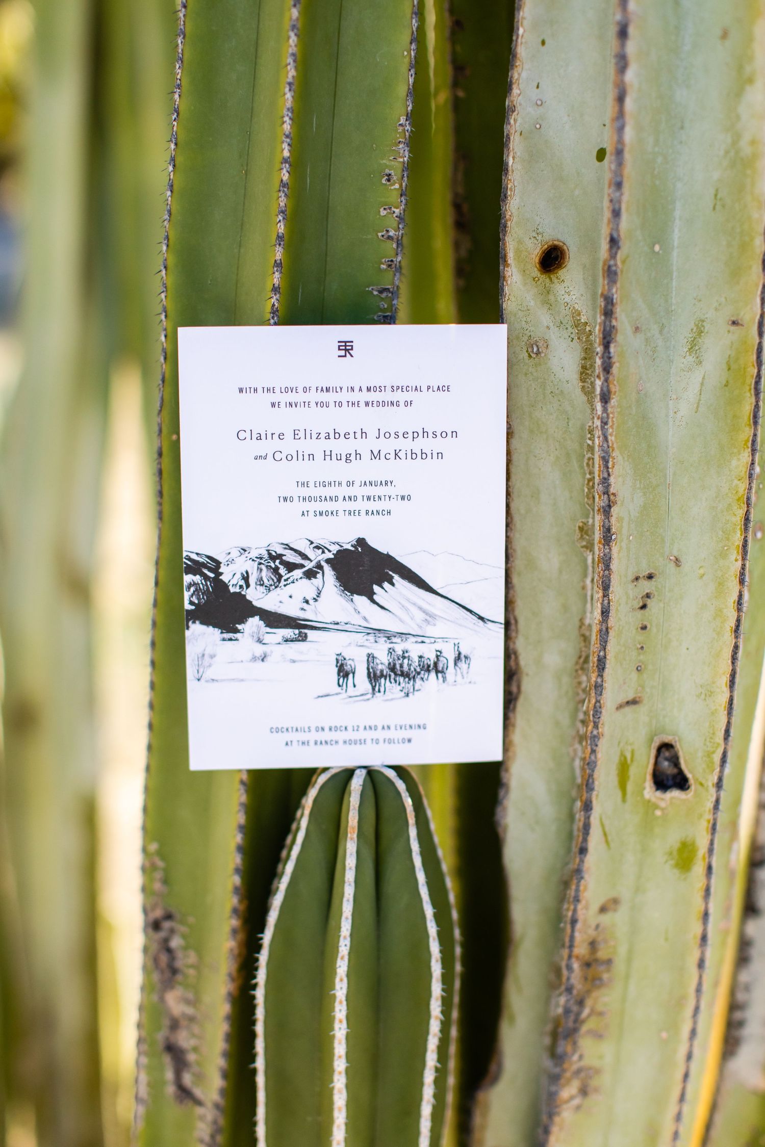 Wedding invitations displayed on green palm fronds in natural light.
