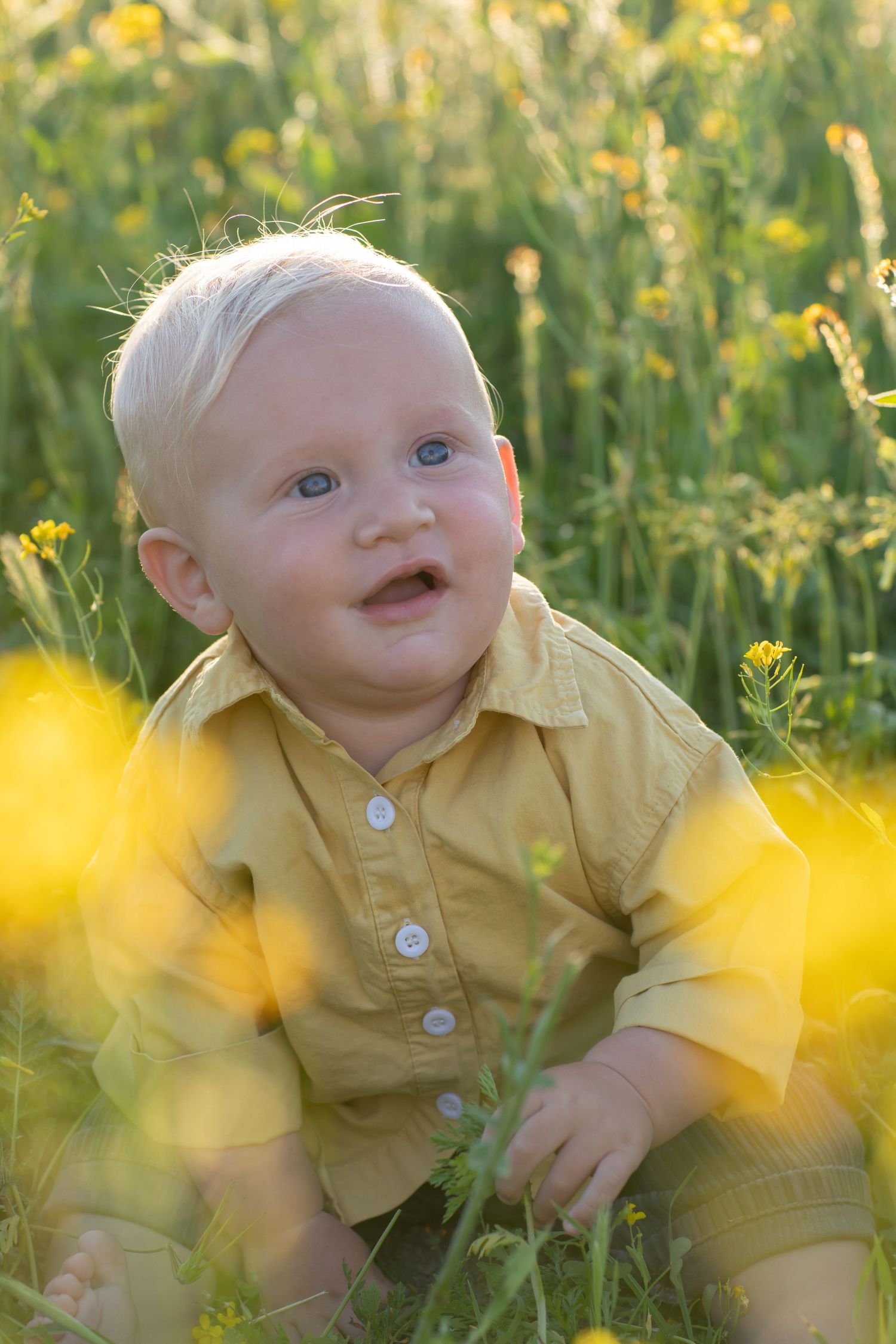 Baby in yellow shirt sitting among blooming yellow wildflowers on a sunny day.