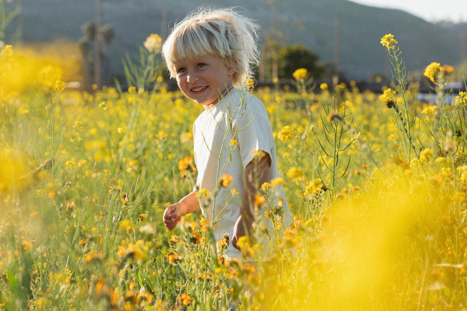 A figure stands in a vibrant field of yellow wildflowers with mountains visible in the background on a sunny day.