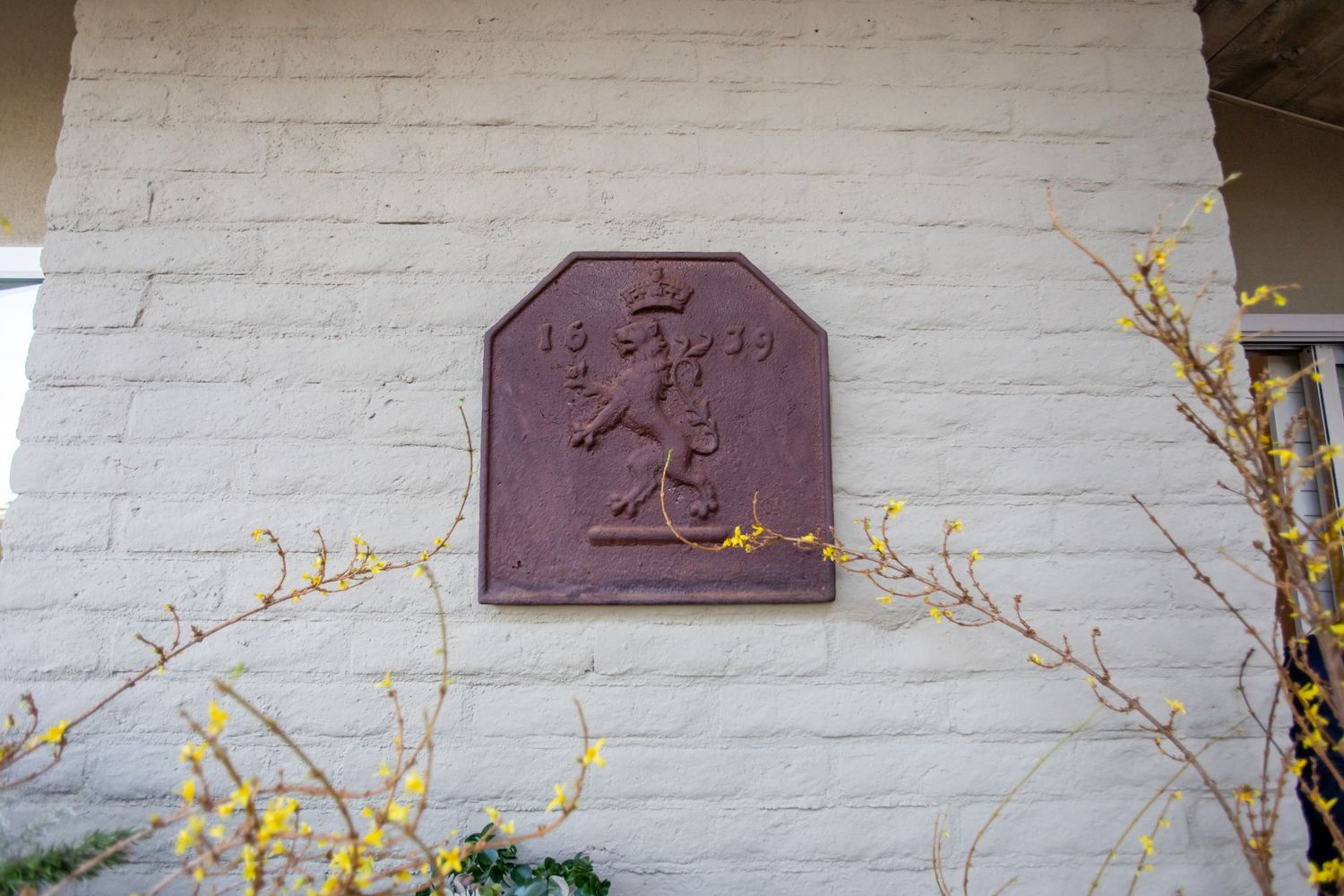 White brick wall decorated with yellow flowers and branches serves as backdrop for special moment.