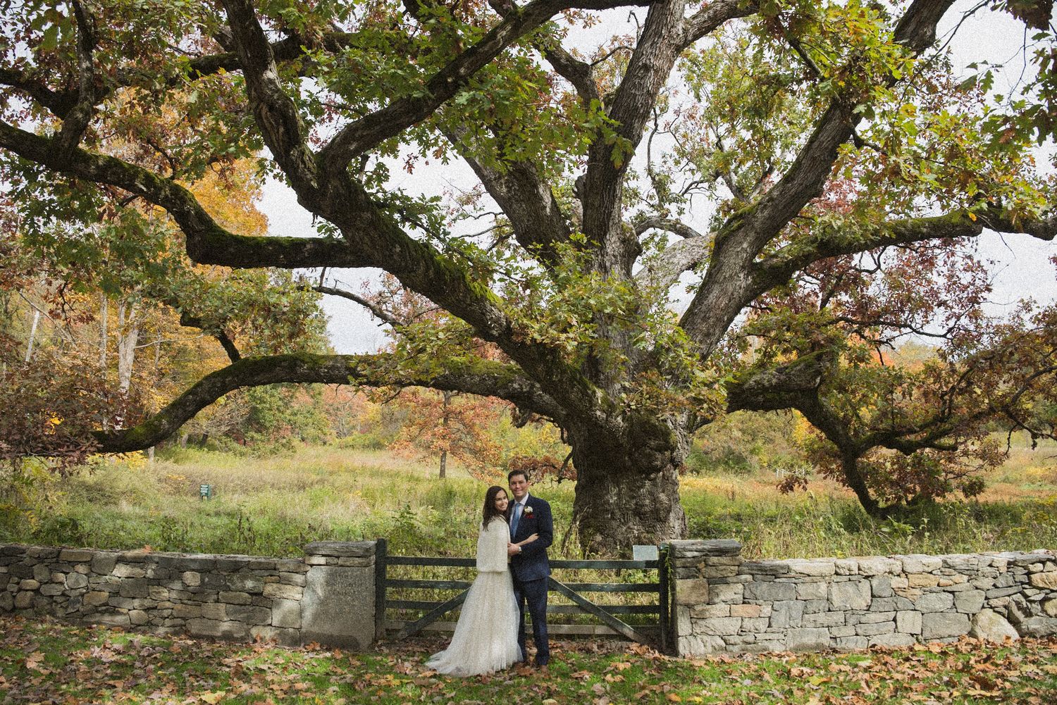 Bride in a white gown and groom in a dark suit embrace beneath a large sprawling oak tree beside a stone wall and wooden gate in autumn.