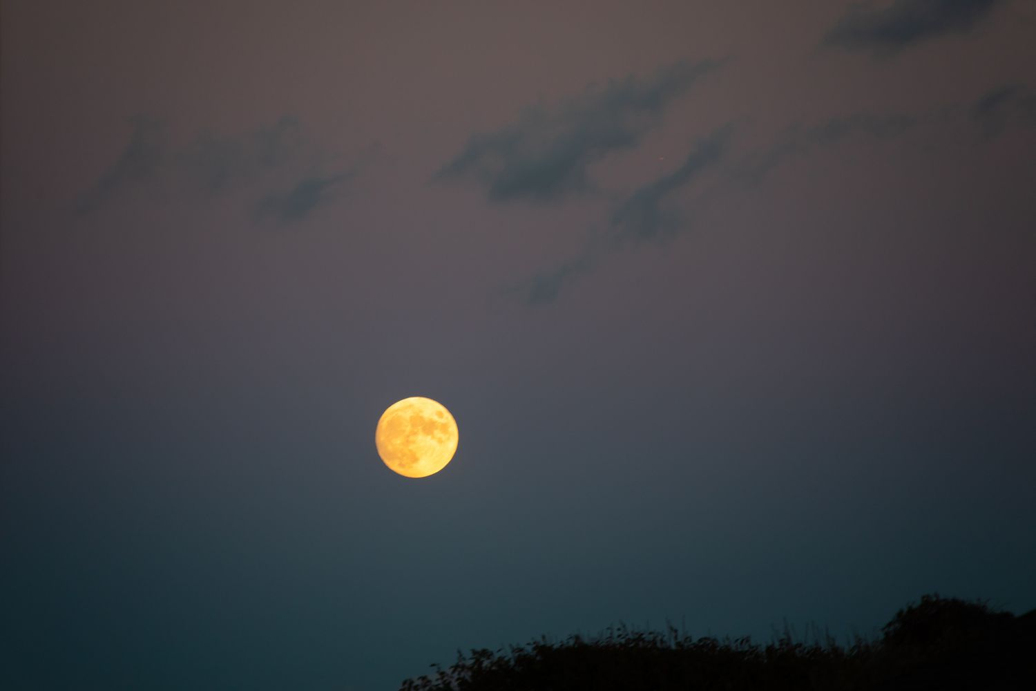 A full moon glows in a dark blue evening sky.