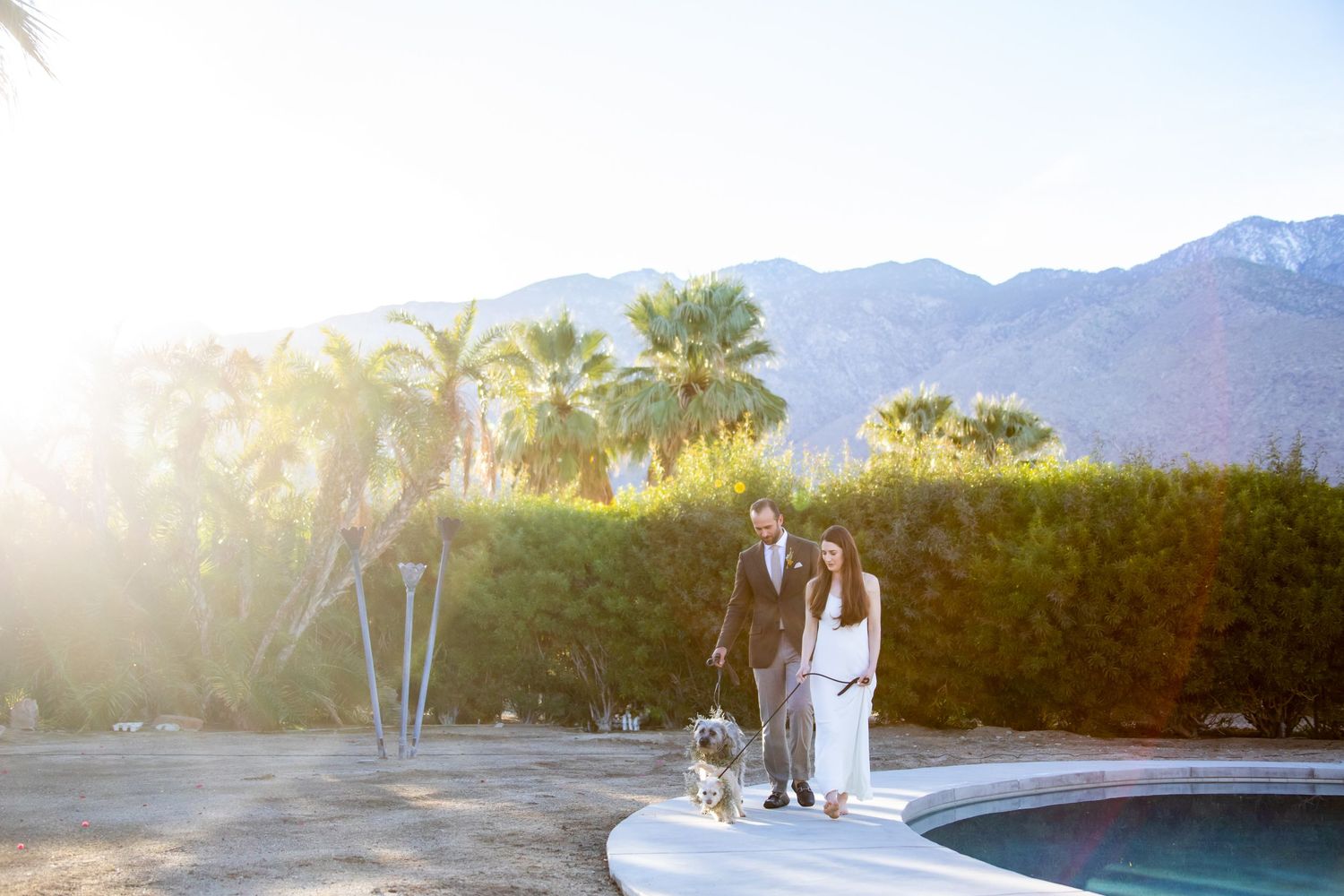 A scenic poolside setting with palm trees and mountains in the background.