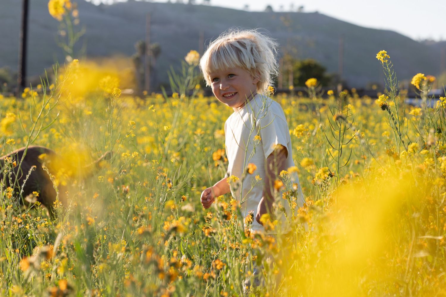 Yellow wildflowers frame a scenic outdoor family portrait.