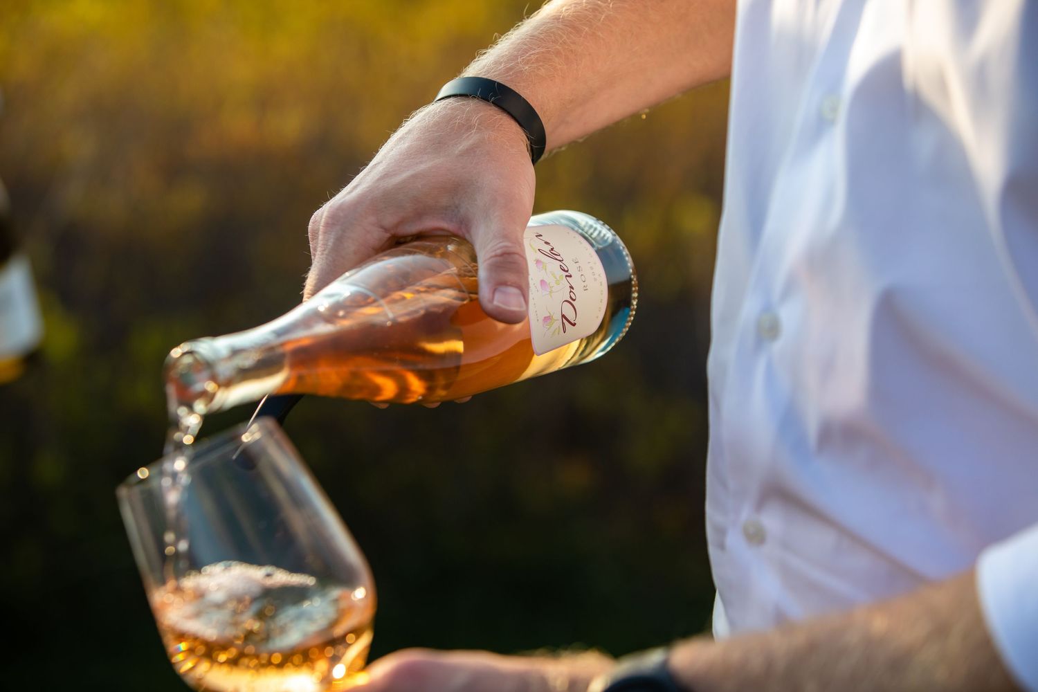 Man pouring rosé wine into a glass outdoors in golden sunlight at a vineyard wine tasting event.