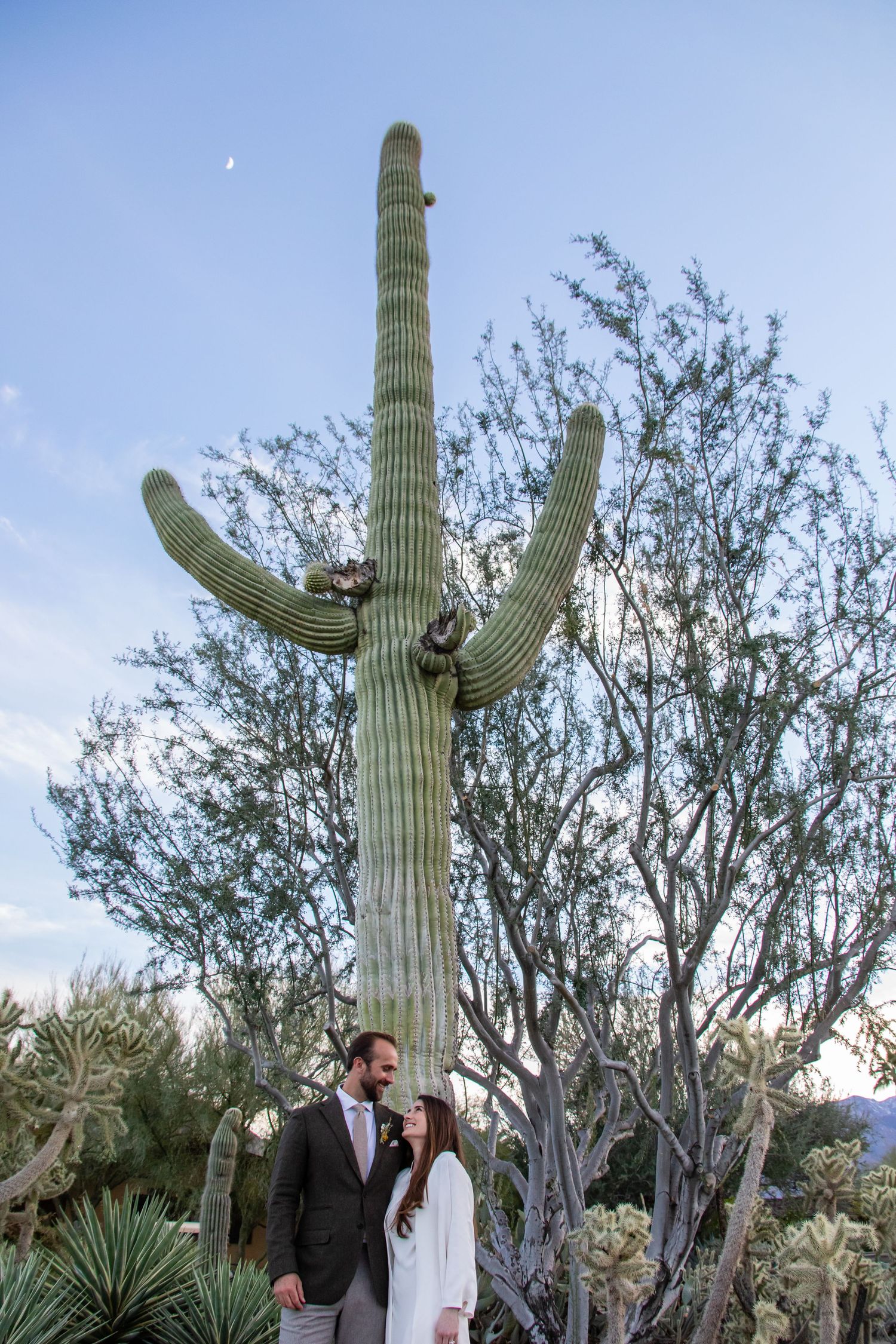 Wedding portraits taken in front of towering saguaro cactus and desert vegetation.