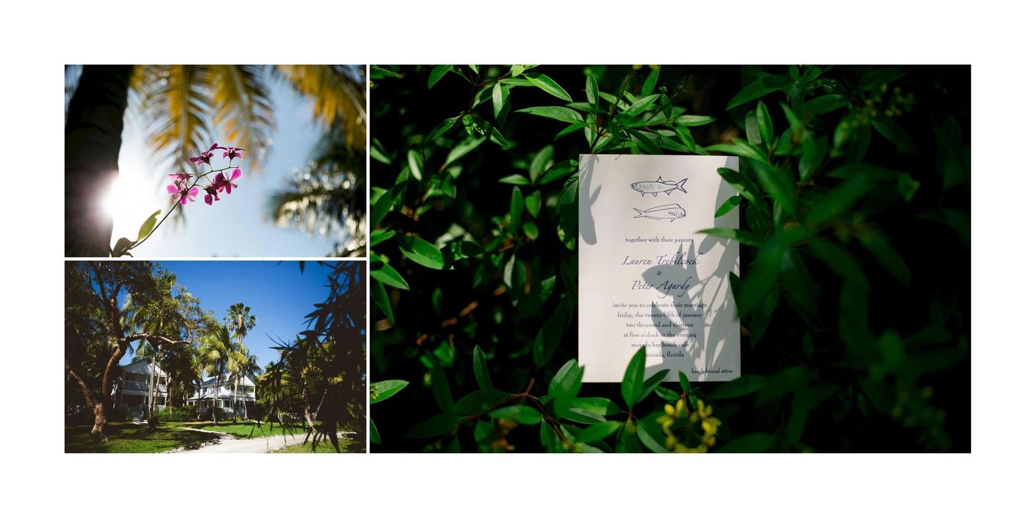 A triptych photo collage showing tropical palm trees, a garden pathway, and a white decorative wall panel among green foliage.