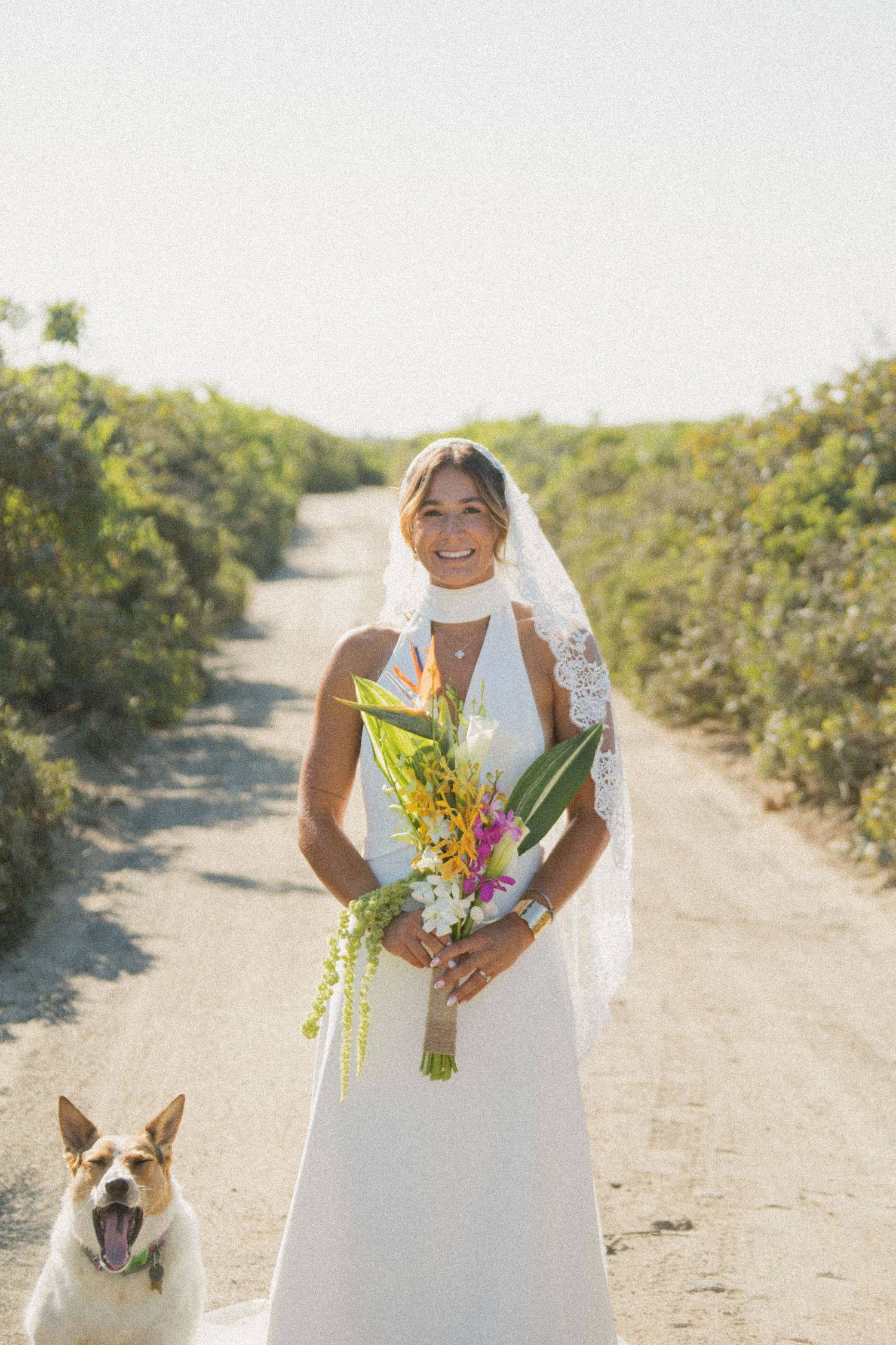 Bride in white dress poses with dogs on a sunny outdoor path while holding a bright floral bouquet.