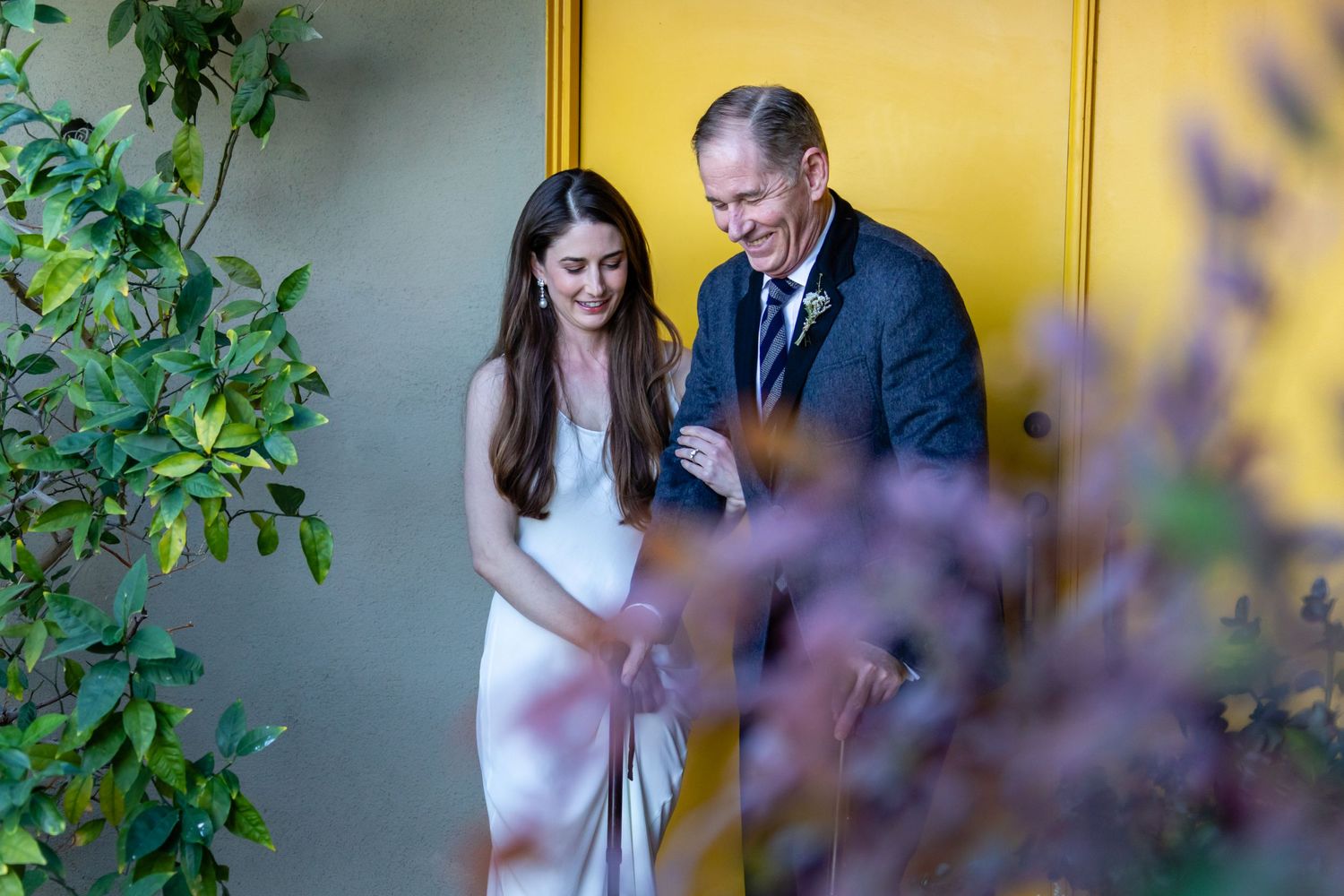 Yellow wall backdrop with green foliage creating a natural frame.