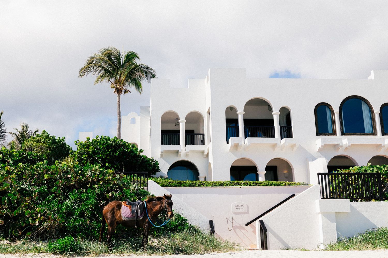 White Mediterranean style villa with arched windows and a palm tree in the foreground.
