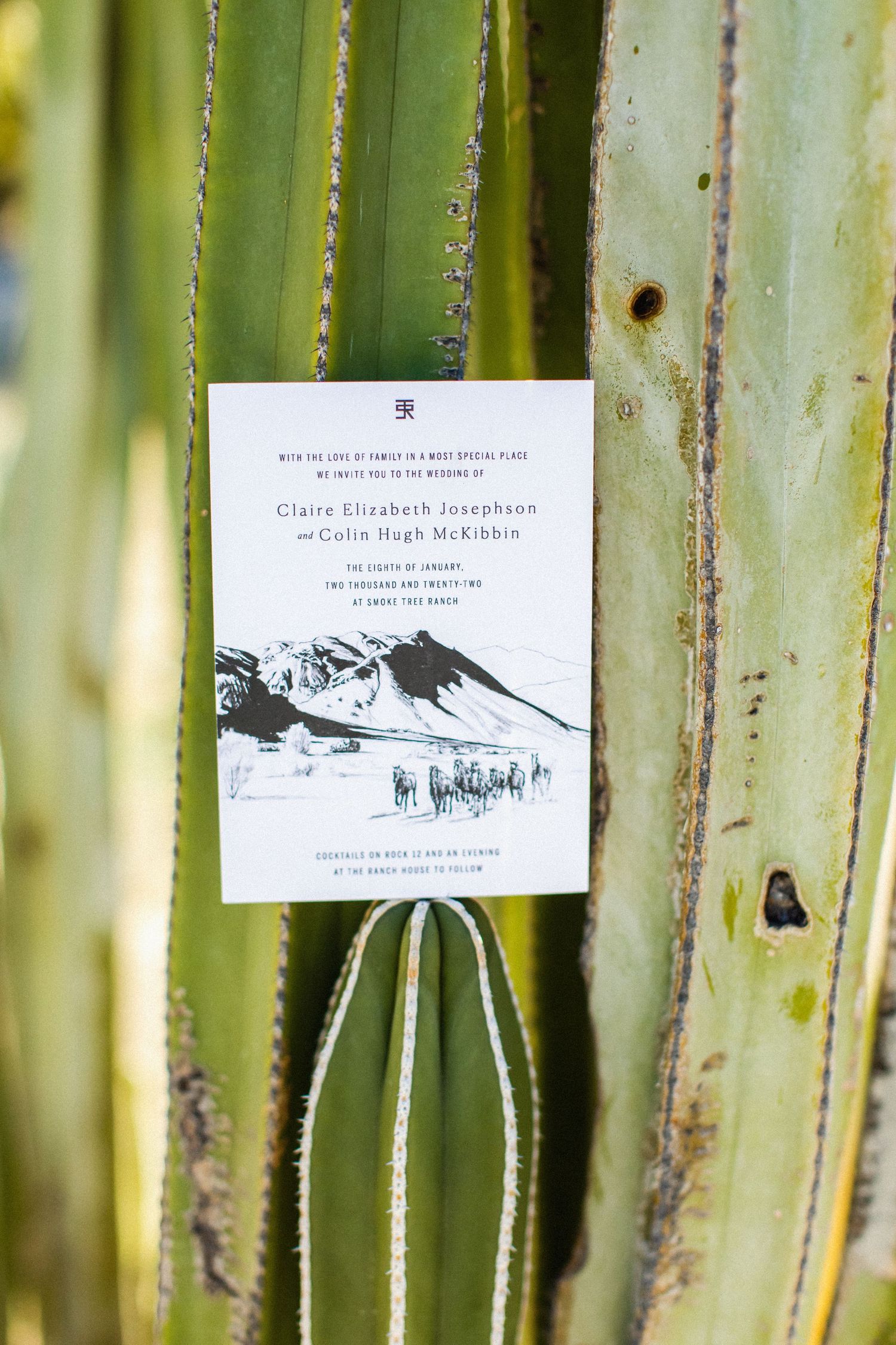 A wedding invitation with mountain artwork displayed against green succulent leaves.