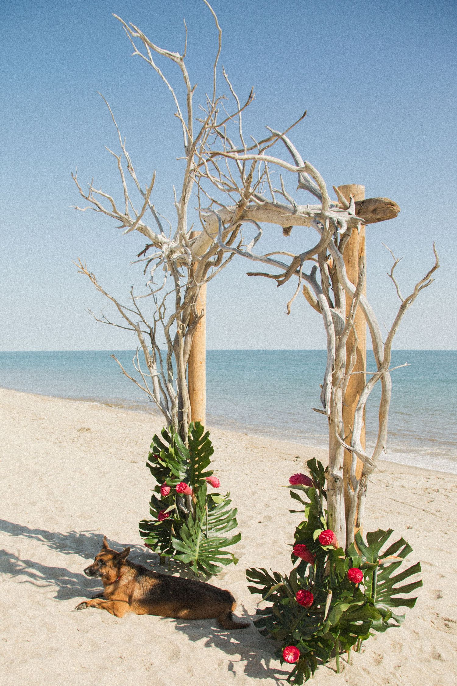 Beach wedding altar made of driftwood decorated with tropical leaves and red flowers on white sand.