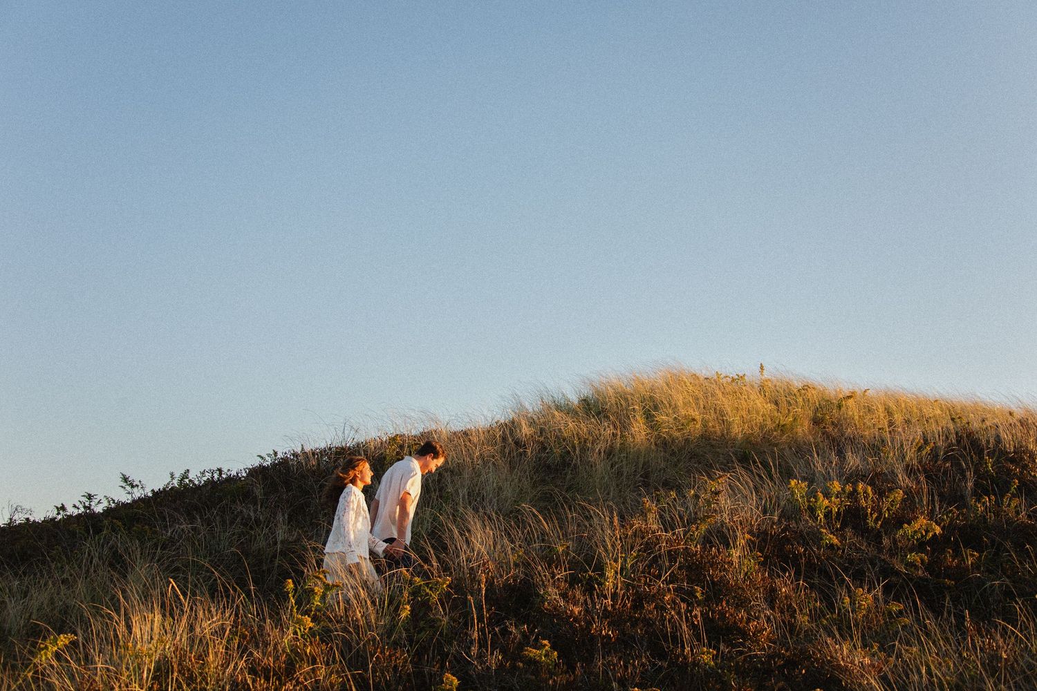 Golden grassy hillside at sunset with ocean waves crashing below on a scenic coastal landscape.