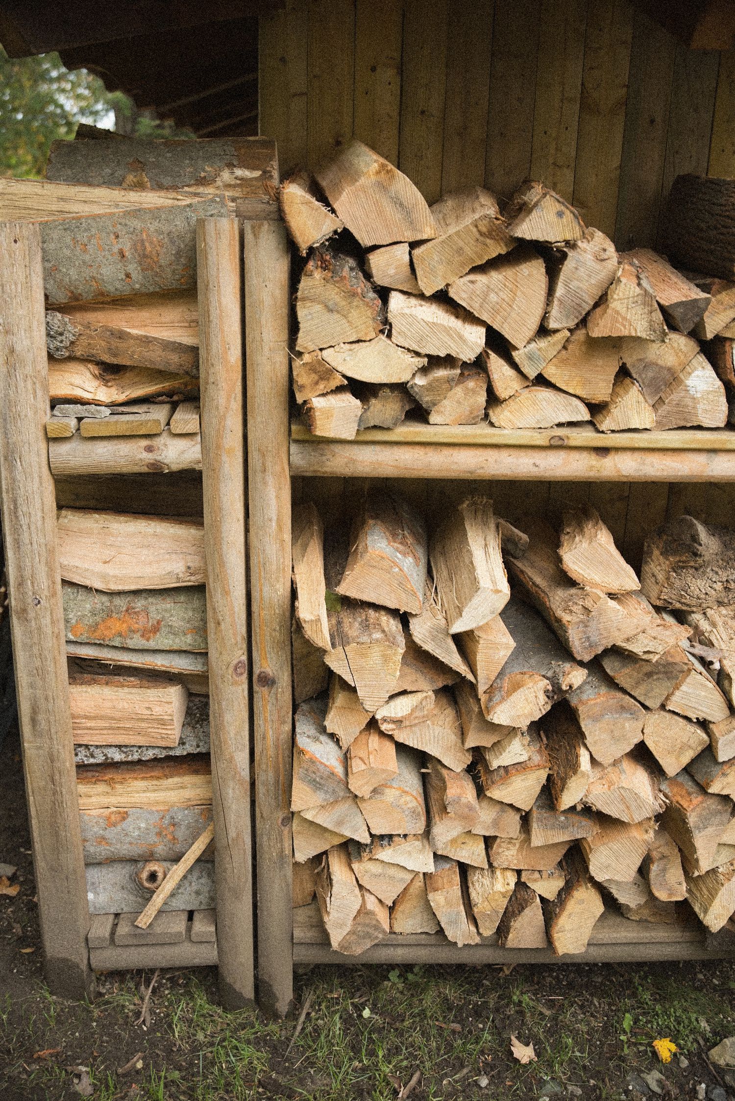 Stacked split firewood logs stored on wooden shelves in a rustic outdoor wood shed, ready for use as seasoned fuel.