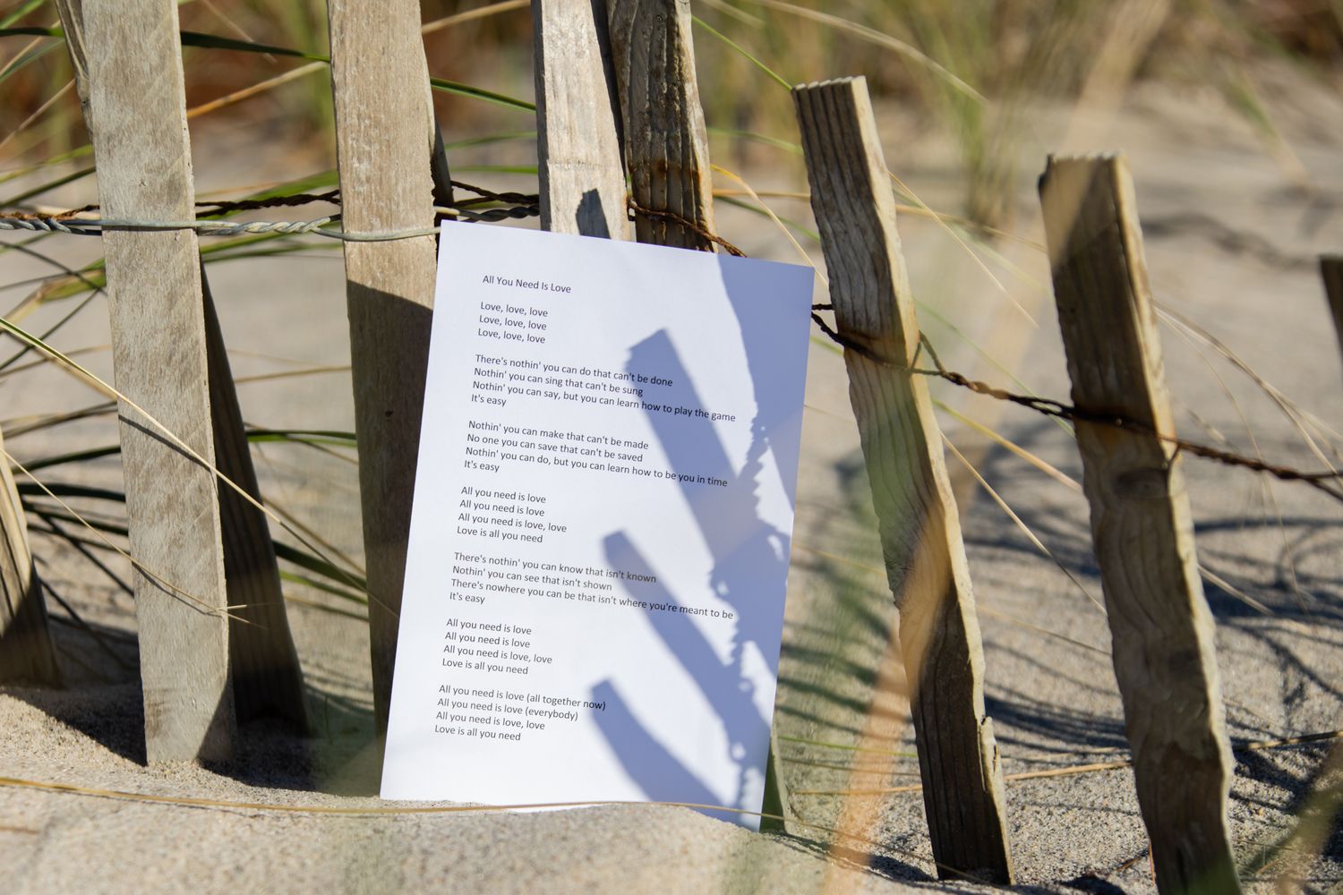 Wooden posts in sand with printed ceremony programs creating a natural aisle.