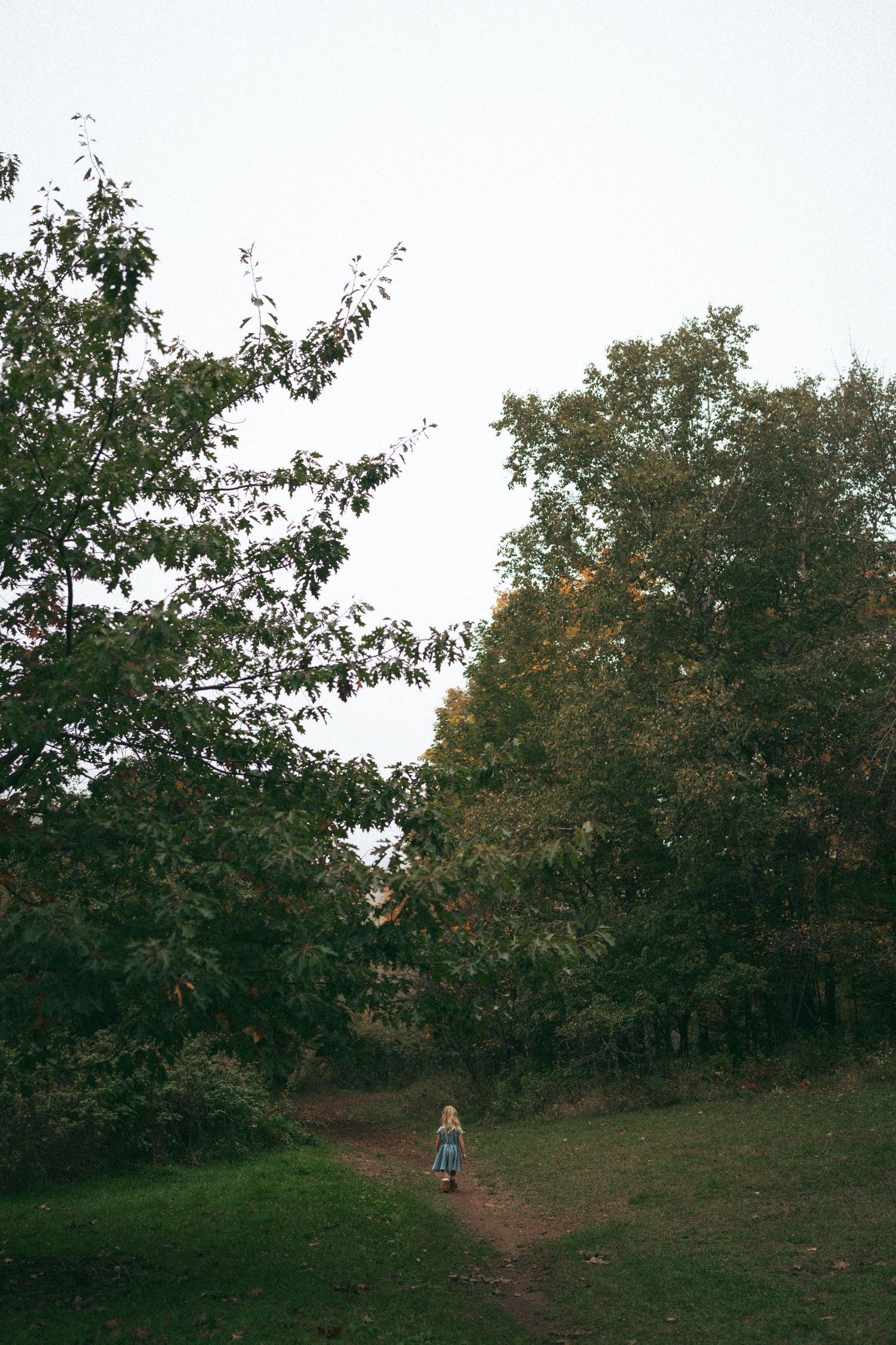 A wooded trail on an autumn day with trees and foliage in the background.