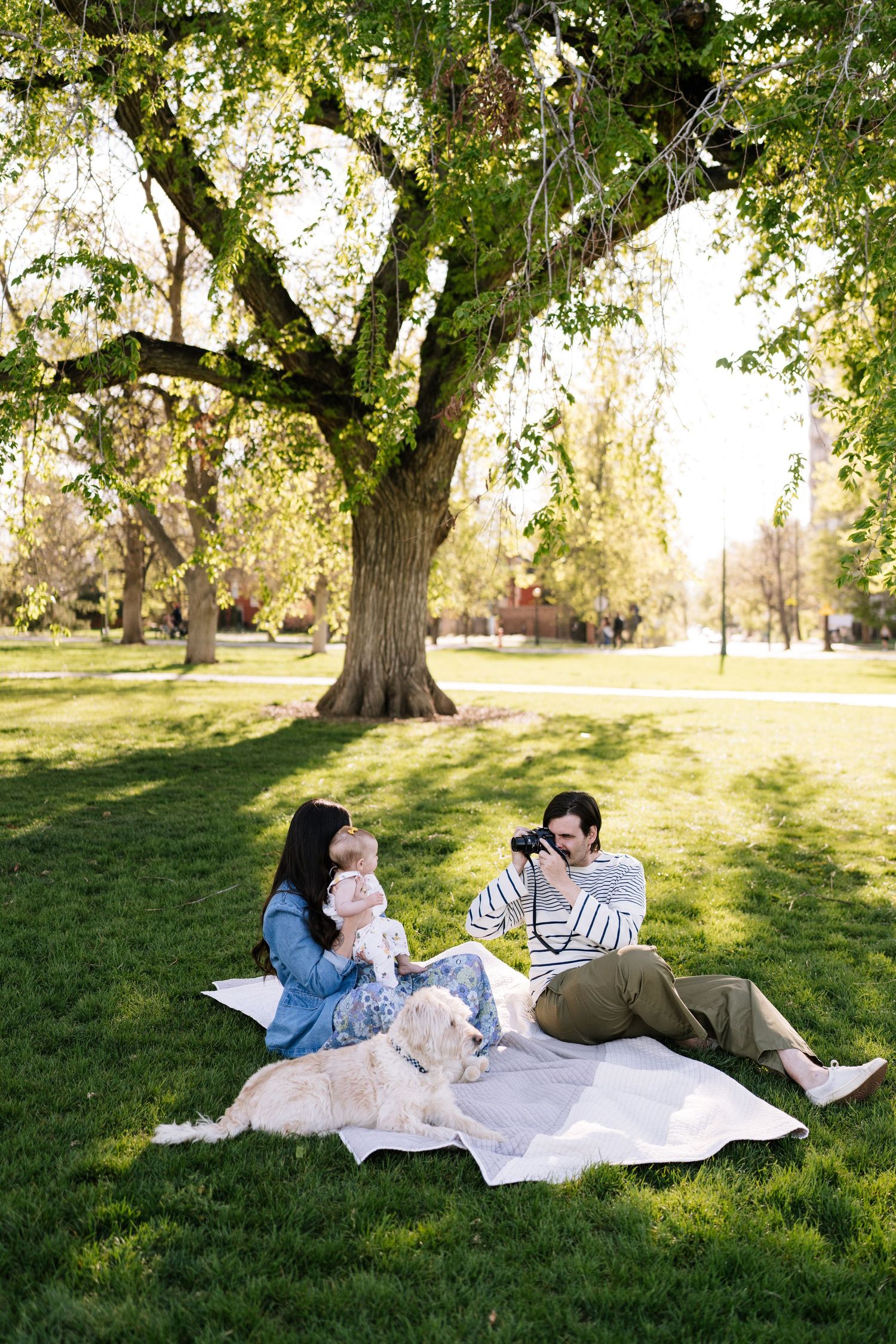 Family having a picnic on a white blanket under large trees in a sunny park.