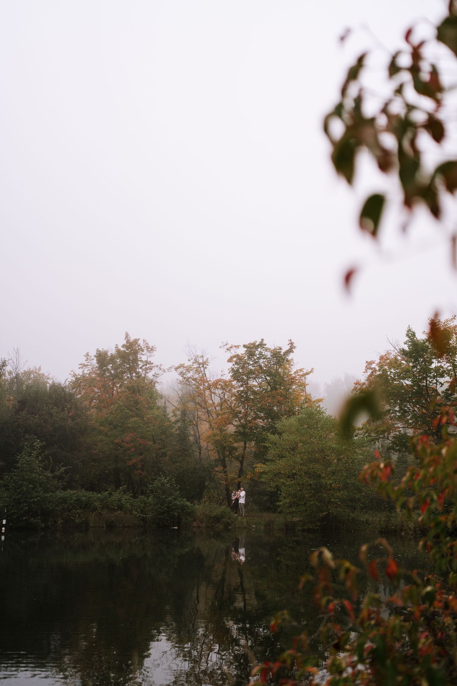 An autumn lakeside scene with trees and fog rolling across the water.