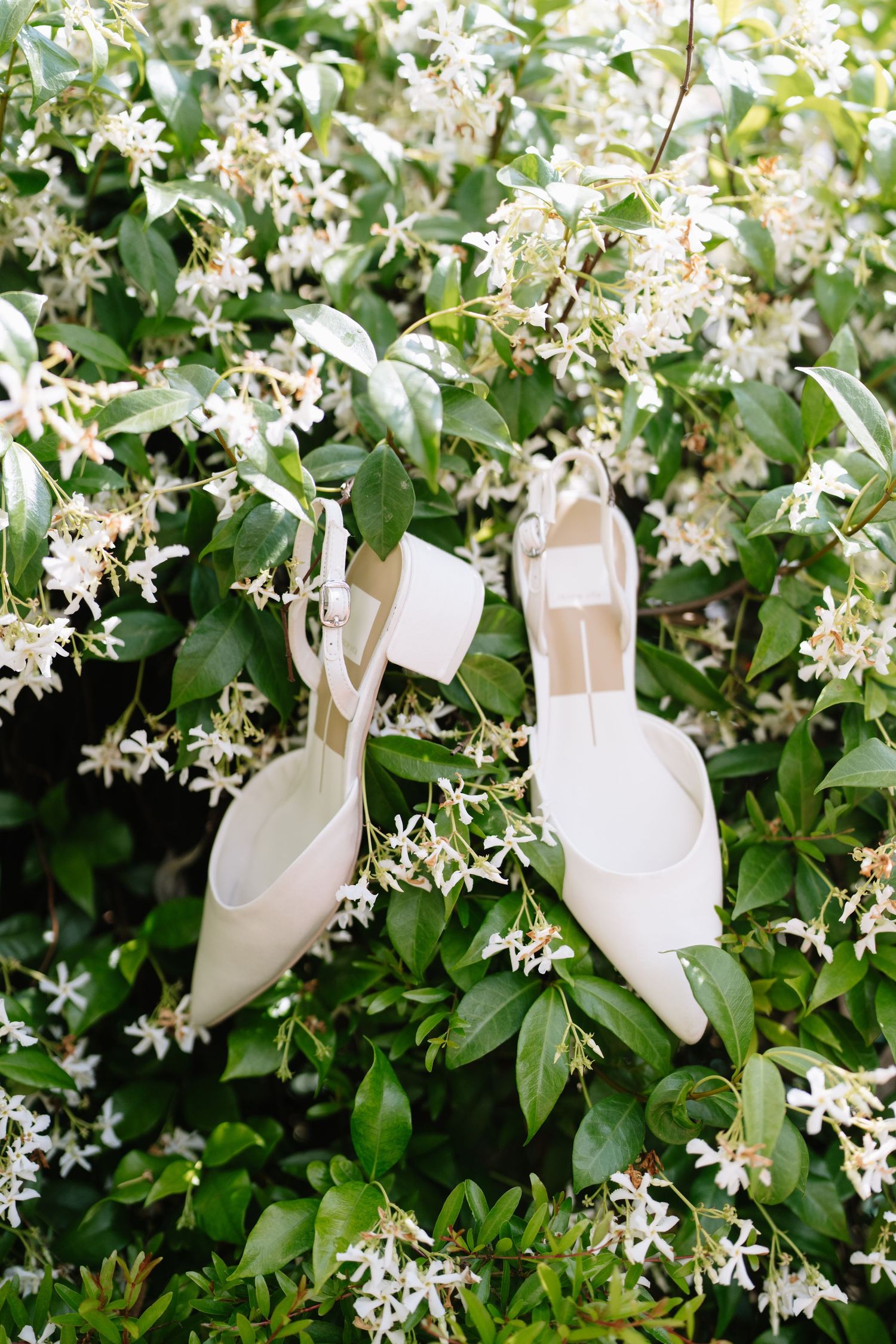 White slingback block heel bridal shoes resting among green leaves and delicate white jasmine flowers outdoors.