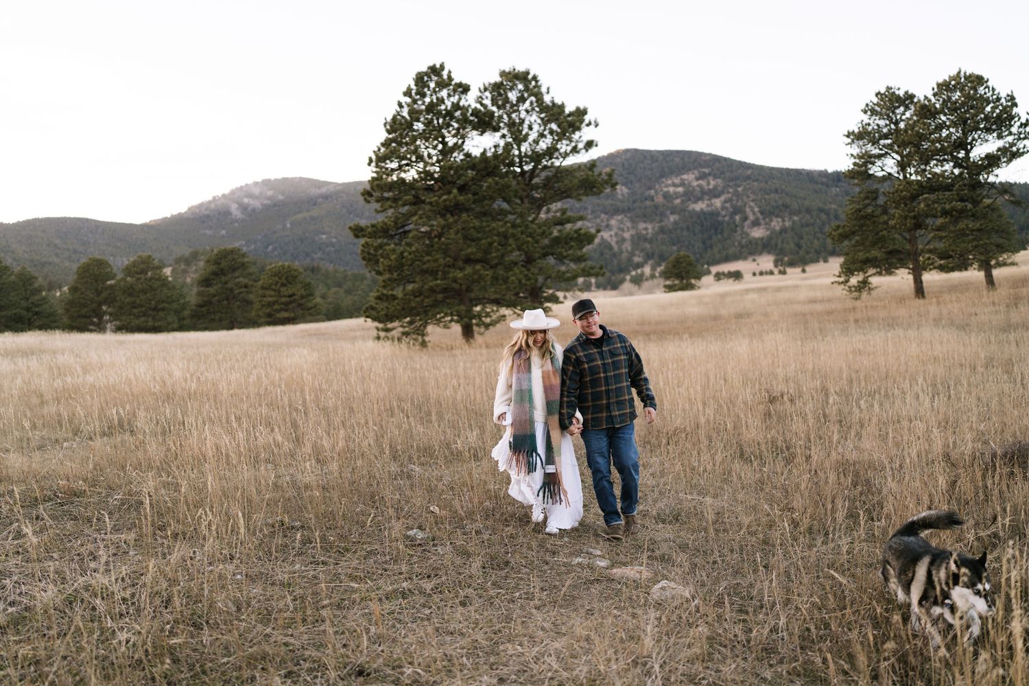 A panoramic view of a couple walking with their dog through a mountain meadow.