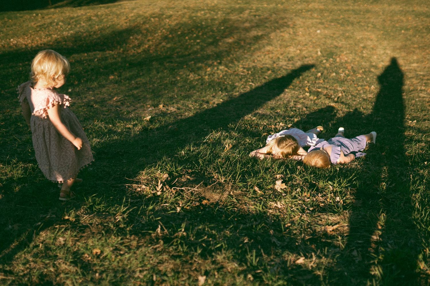 Shadows cast on grass during a sunny afternoon gathering.