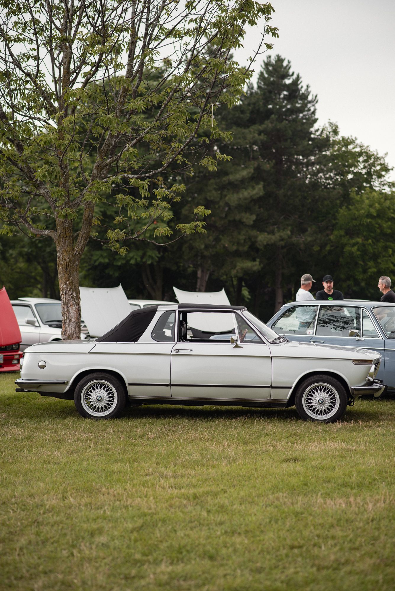 White vintage BMW coupe displayed under a tree at TedFest in Niagara.