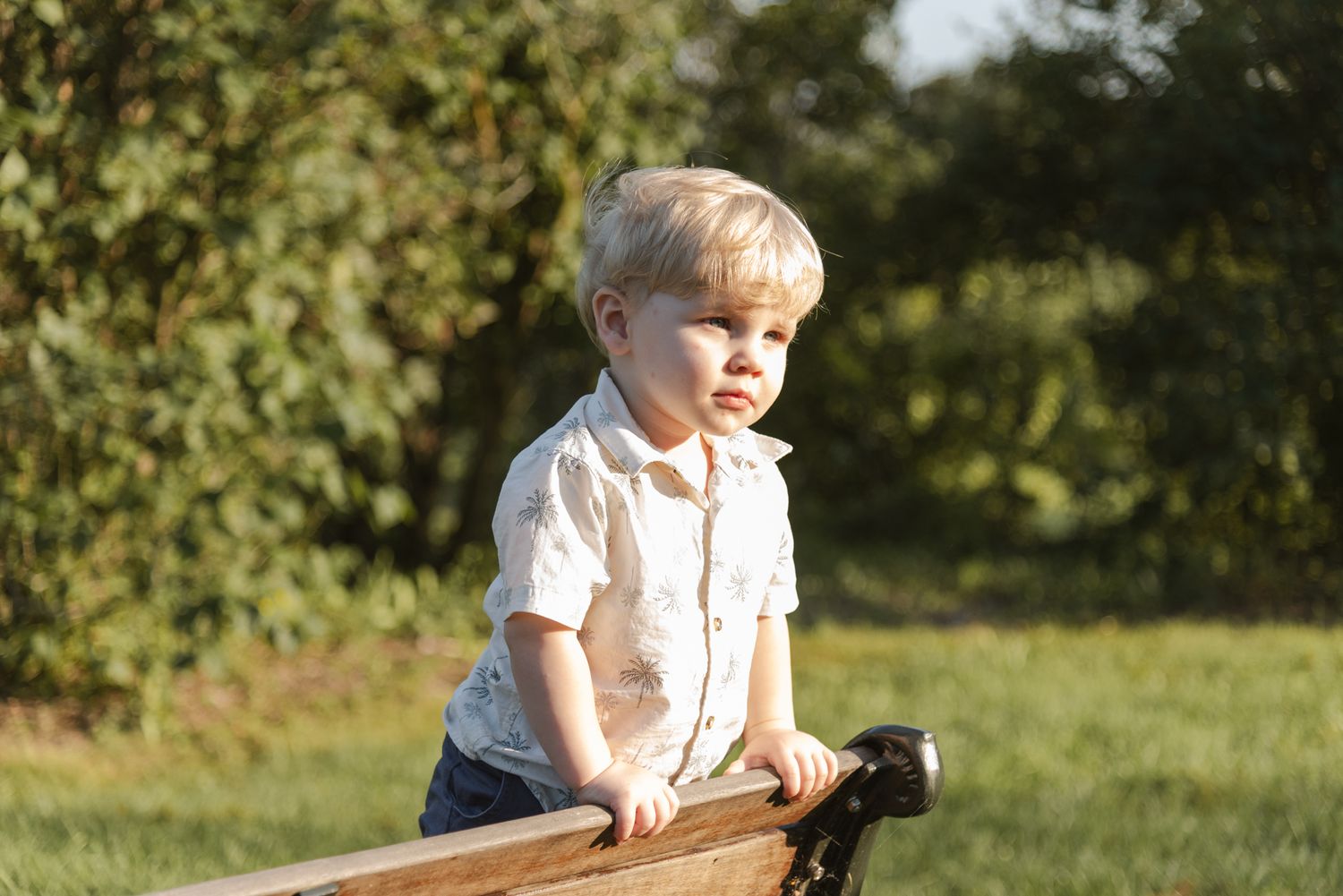 Young boy exploring a park bench during a relaxed family photo session at Centennial Lilac Garden