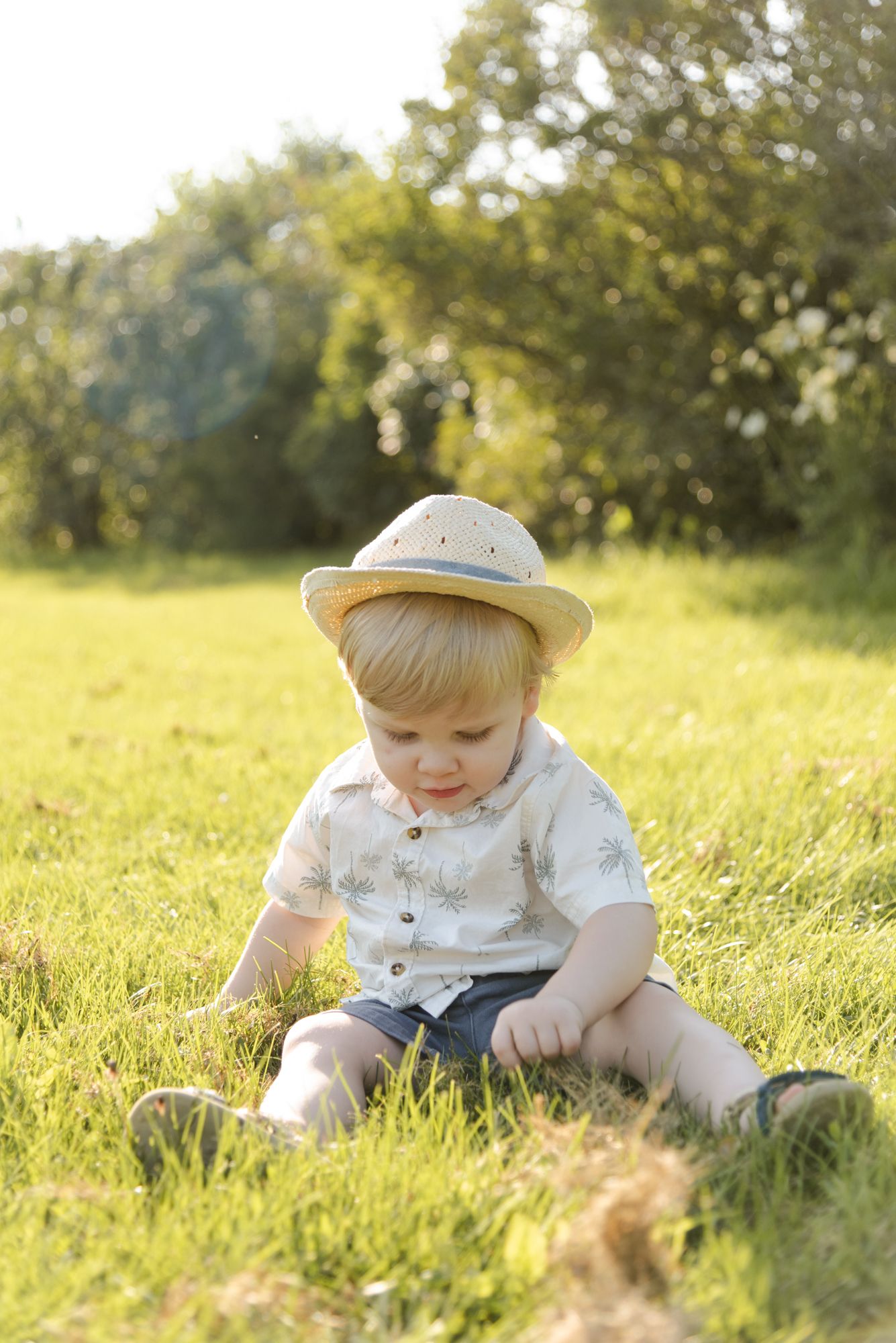 Young boy sitting and playing in the grass during family photos at Centennial Lilac Garden