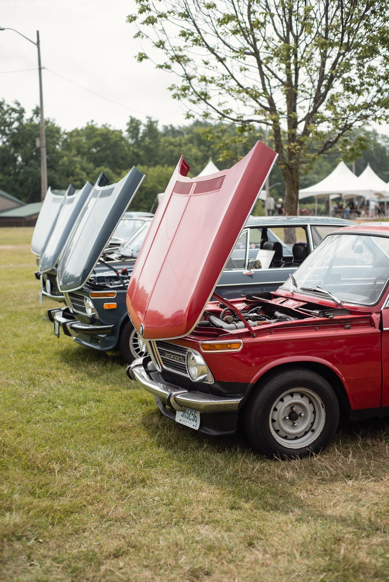 Row of classic BMWs with their hoods open on display at TedFest in Niagara.