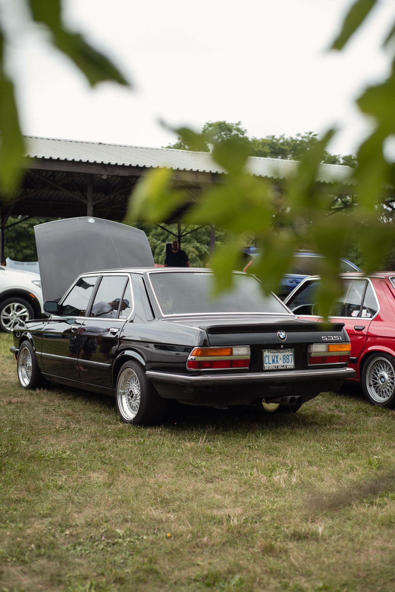 Classic black BMW parked at TedFest with other vintage BMWs nearby.